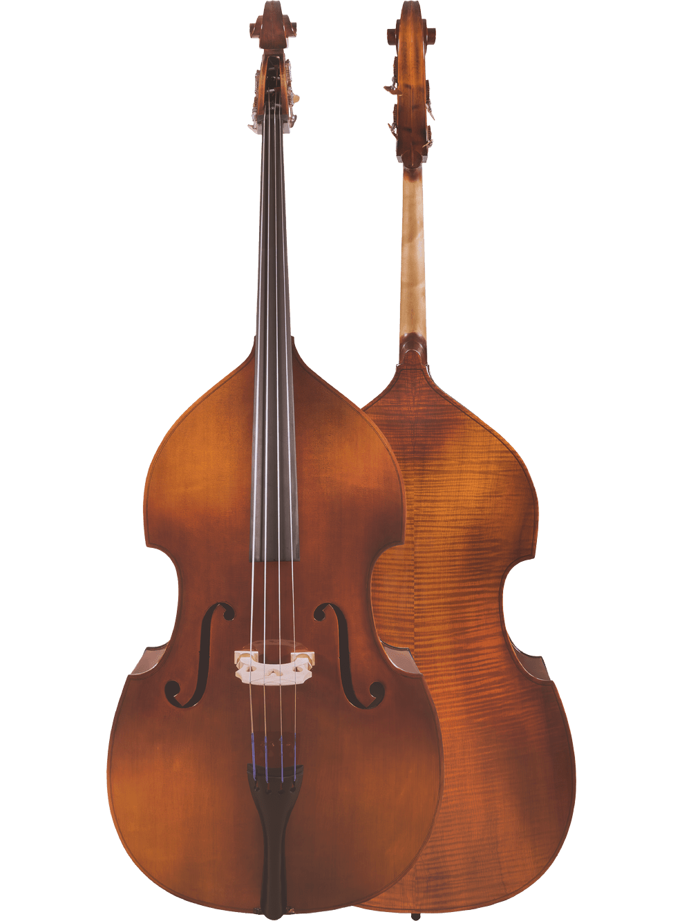 Two Canzona Allegra 100 Series Student Double Bass Outfits are shown—one displays strings and curves, the other shows the wood grain and neck. Both have a warm brown finish, designed for durability and ideal for school use.