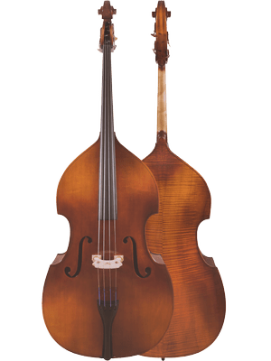 Two Canzona Allegra 100 Series Student Double Bass Outfits are shown on a white background: one displays the strings and bridge, the other shows the back and wood grain—an ideal, durable student bass for school use.