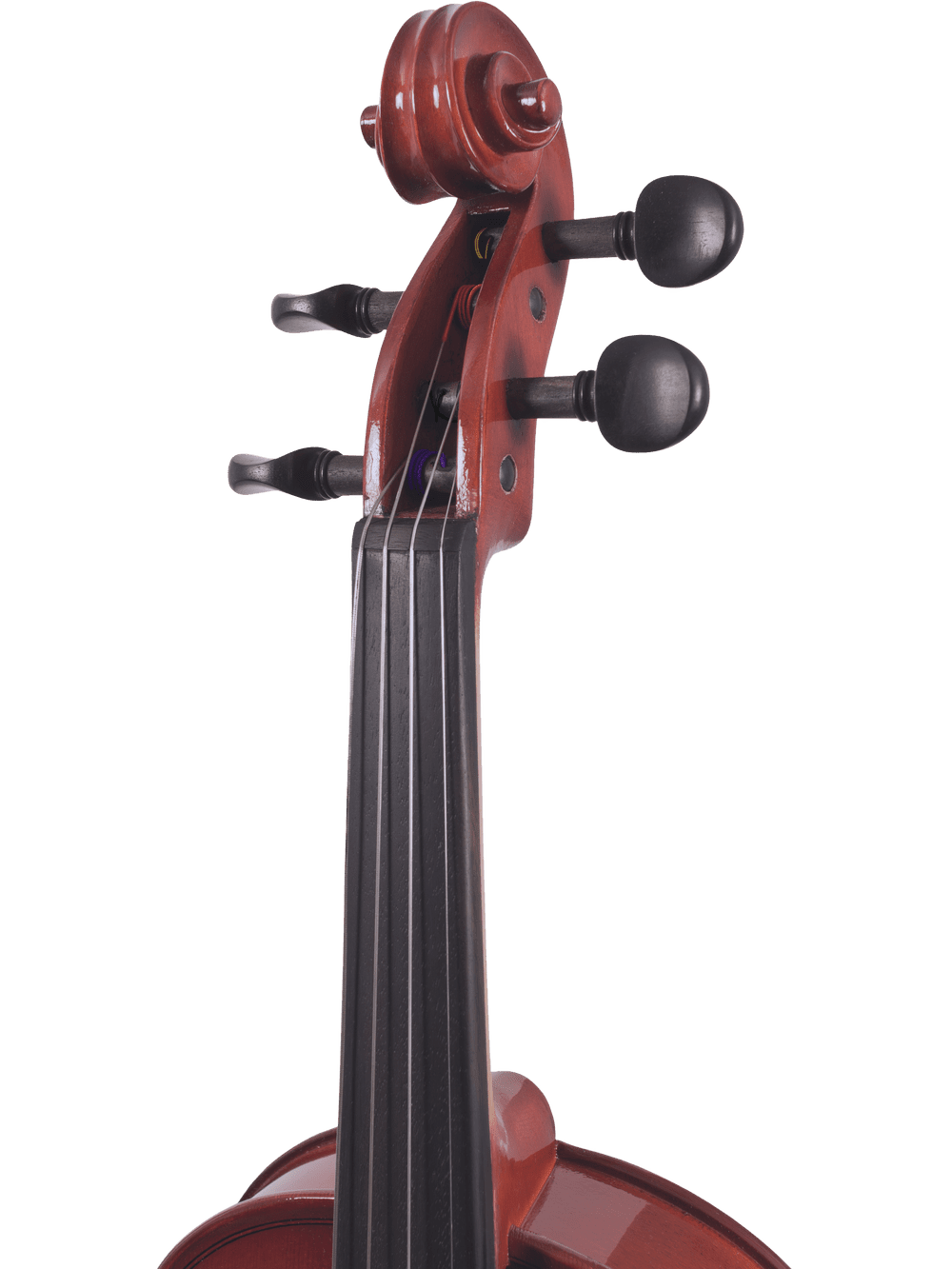 Close-up of the Canzona Allegra Student Viola Outfit – Hand Carved Spruce & Maple, featuring the scroll, tuning pegs, and fingerboard—showcasing quality craftsmanship against a plain white background.