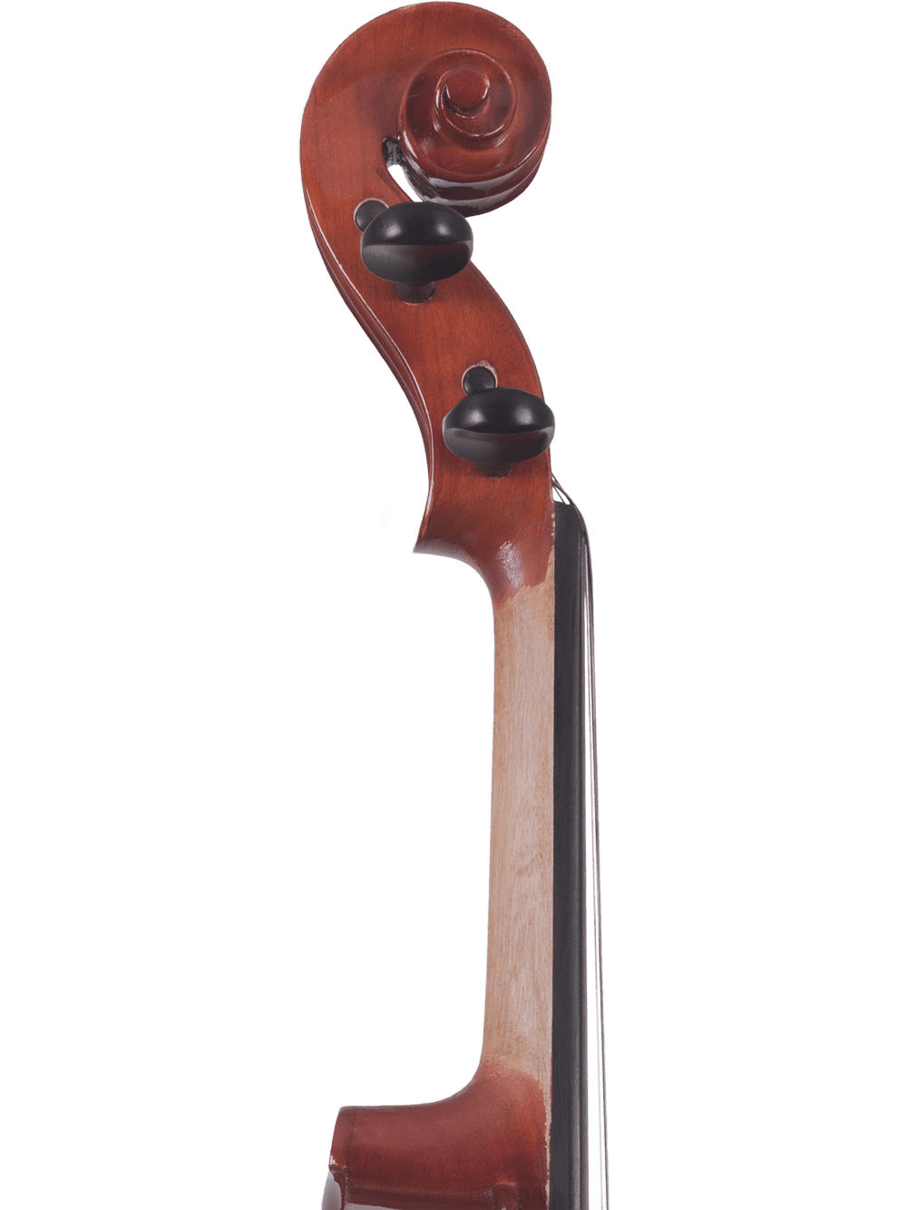 Close-up of the scroll and tuning pegs from the Canzona Allegra Student Viola Outfit – Hand Carved Spruce & Maple, shown against a plain white background.