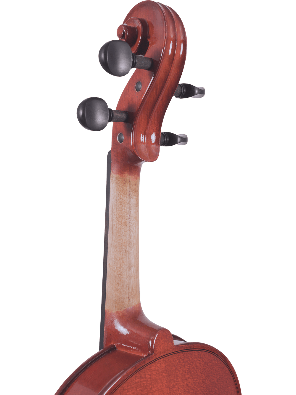 Close-up of the scroll, pegs, and upper neck of the Canzona Allegra Student Viola Outfit – Hand Carved Spruce & Maple. The glossy reddish-brown finish and black pegs stand out against a plain white background—ideal for students.