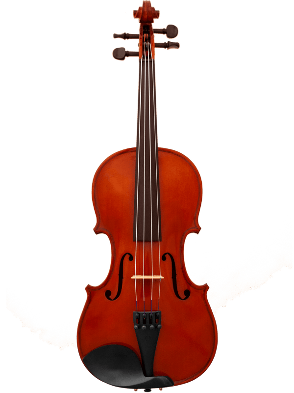 A full-length view of a Canzona Allegra Violin Outfit with professional setup, featuring four strings, a chin rest, and tuning pegs, photographed against a plain white background.