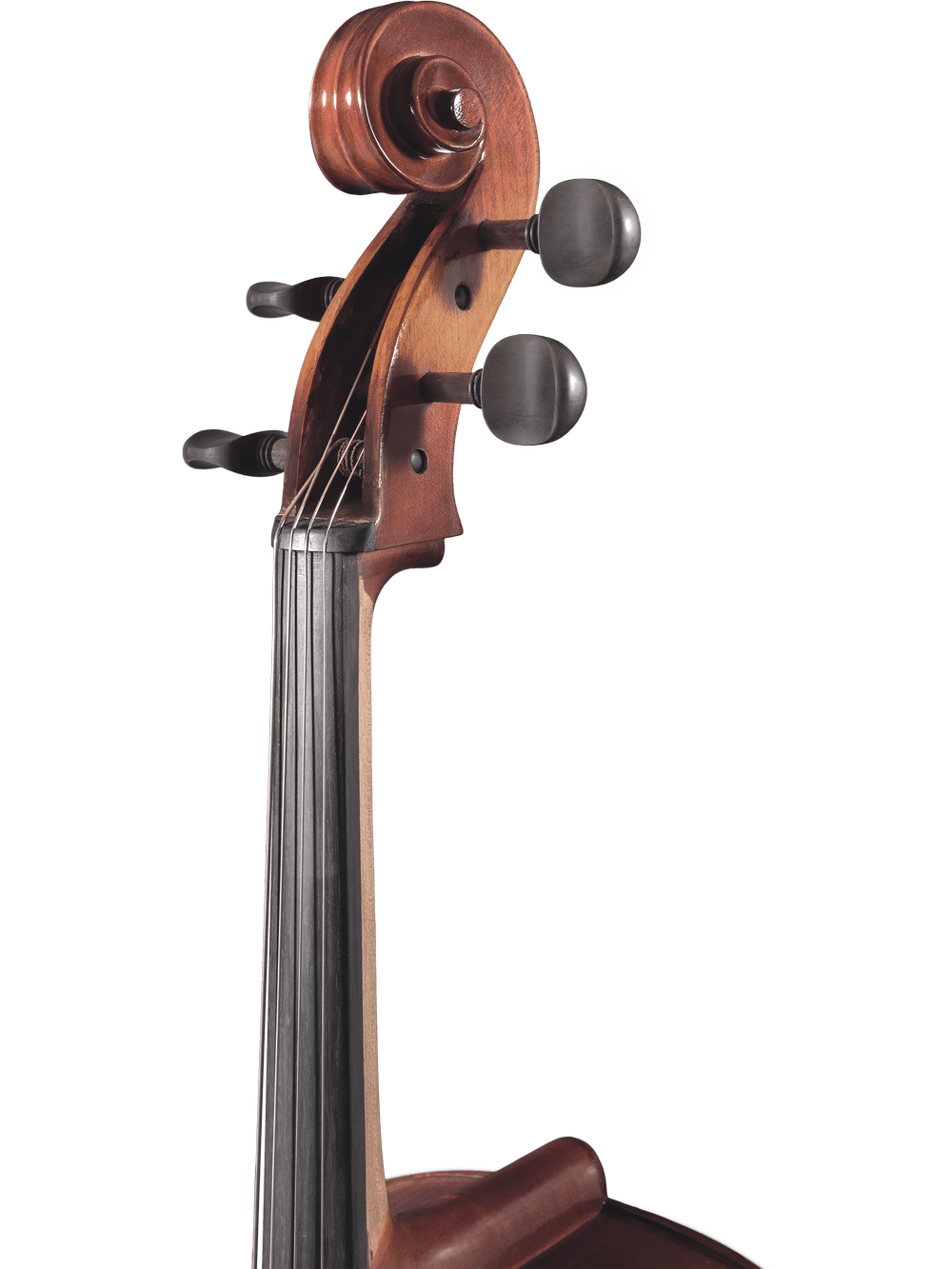 Close-up of the Canzona Allegro 100 Cello Outfit, highlighting the scroll, tuning pegs, and fingerboard on a plain white background. Perfect student cello for beginners starting their musical journey.