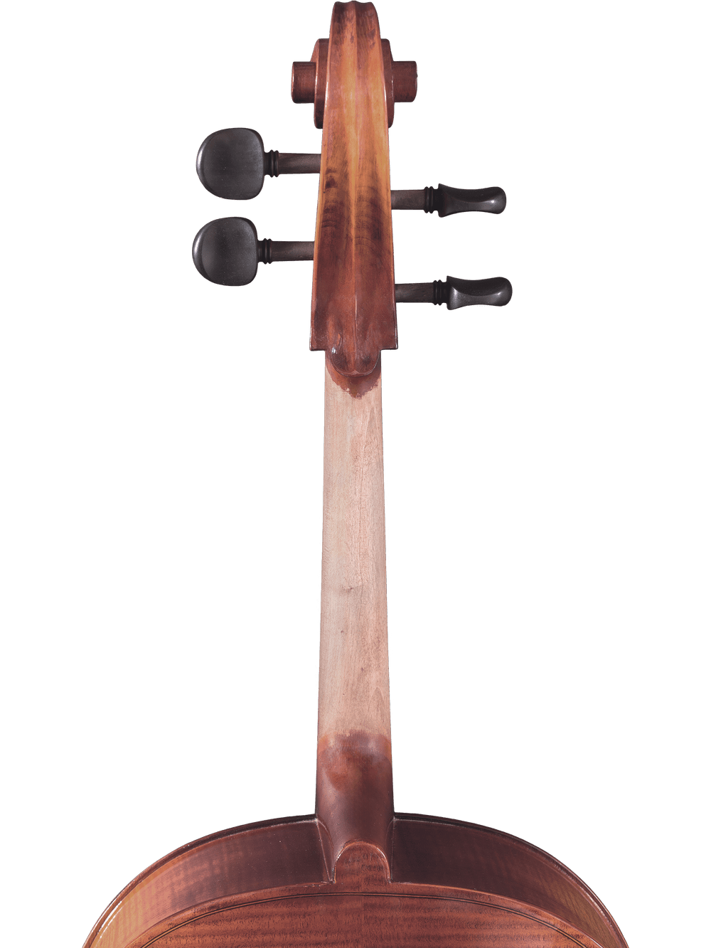 Close-up of the back of a Canzona Allegro 100 Cello Outfit’s neck and scroll, with two tuning pegs on each side against a white background. The wood grain and design of this student cello are clearly visible.
