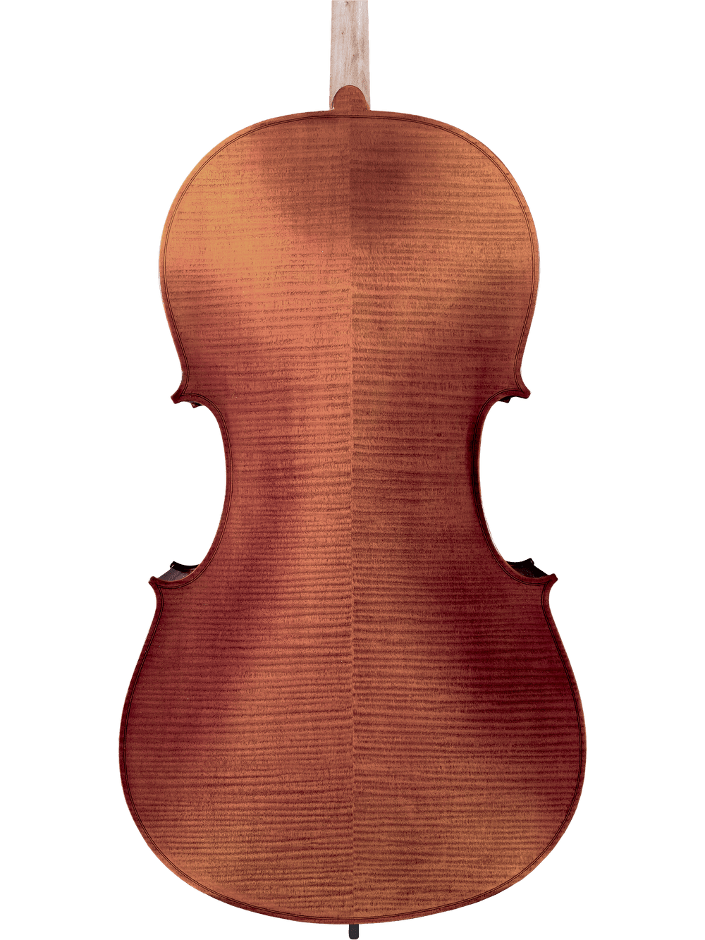 The image shows the back of a Canzona Allegro 100 Cello Outfit with a warm reddish-brown finish and visible wood grain, photographed against a plain white background.