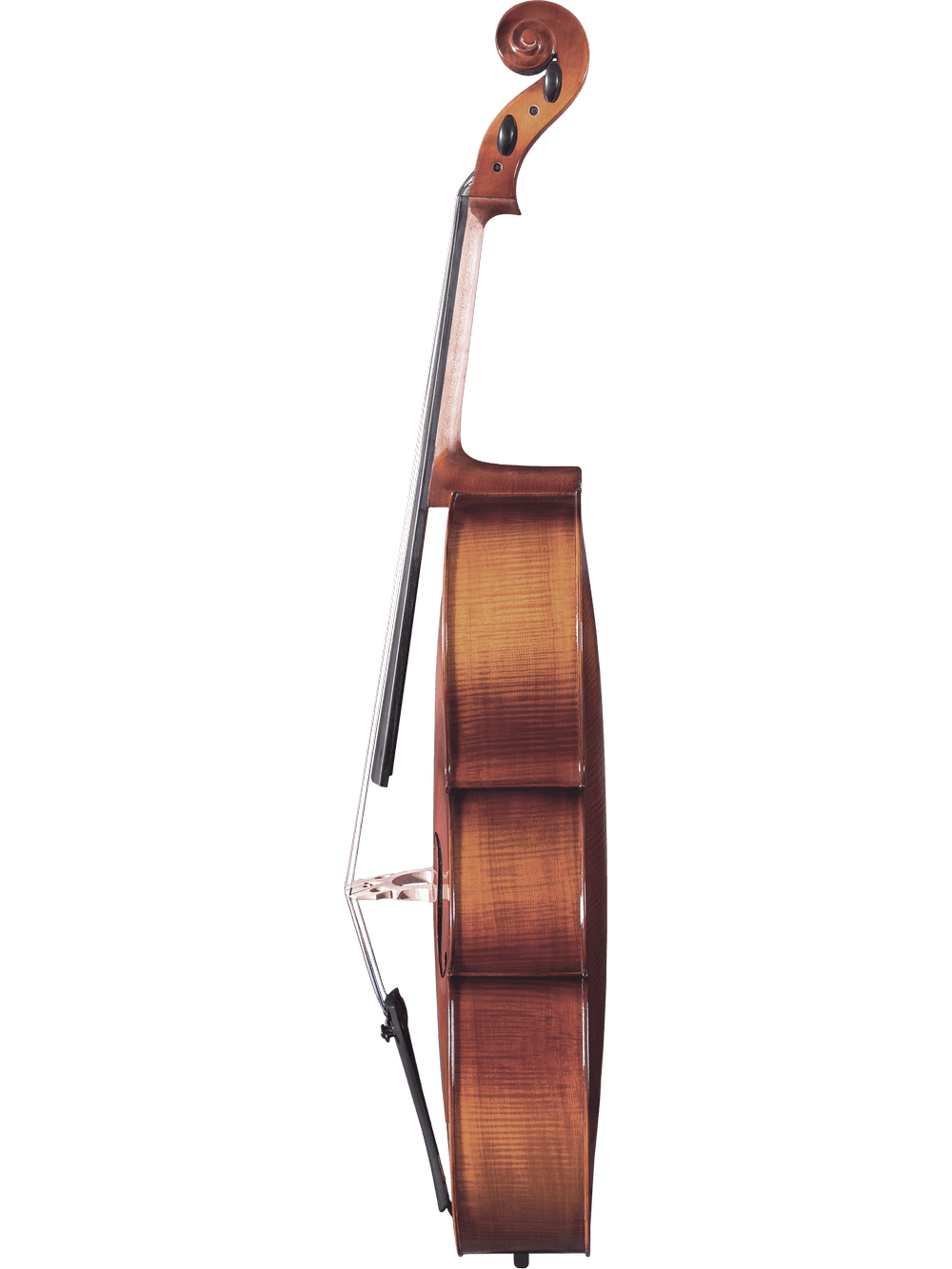 A side view of the Canzona Allegro 100 Cello Outfit stands upright on a white background, displaying its curved body, neck, and scroll.