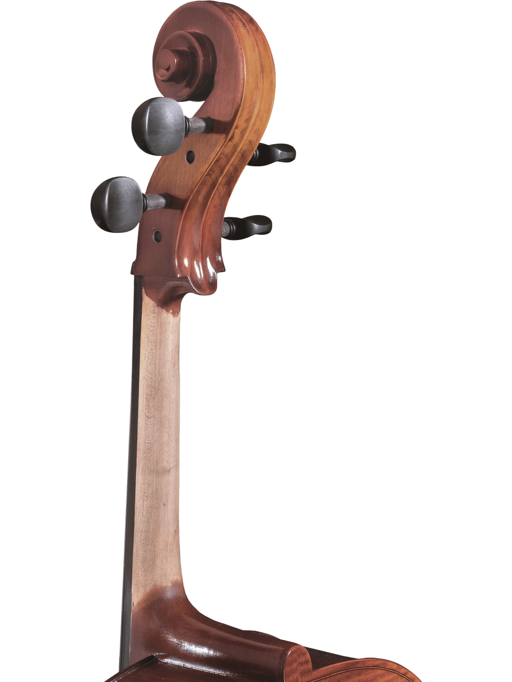 Close-up of the scroll, pegs, and upper neck of a Canzona Allegro 100 Cello Outfit set against a plain white background.
