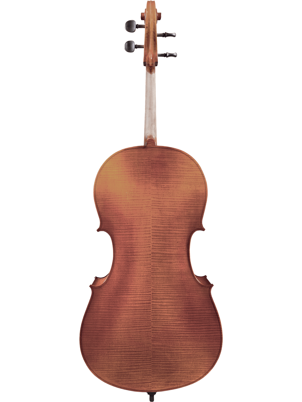 A full rear view of the Canzona Allegro 100 Cello Outfit displays its elegant curves and rich brown finish set against a plain white background.