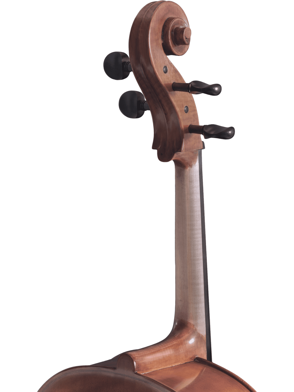 Close-up of the upper neck, scroll, and tuning pegs of a hand-carved Canzona Caprice 300 Cello Outfit against a plain white background.