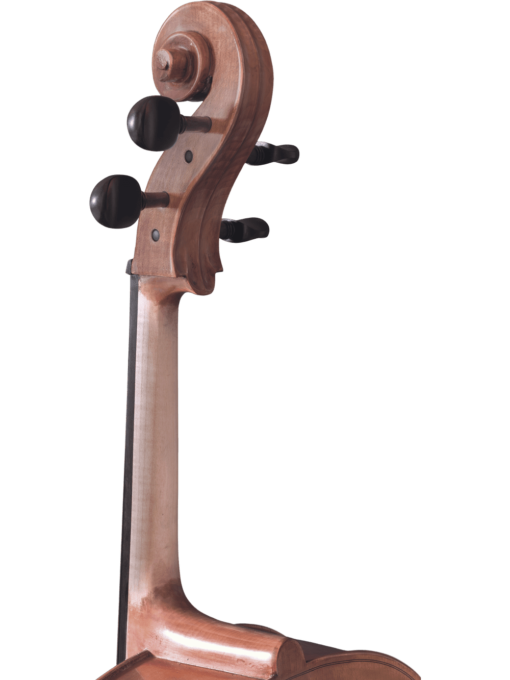 Close-up of the scroll and tuning pegs of a Canzona Caprice 300 Cello Outfit, hand-carved, against a plain white background.