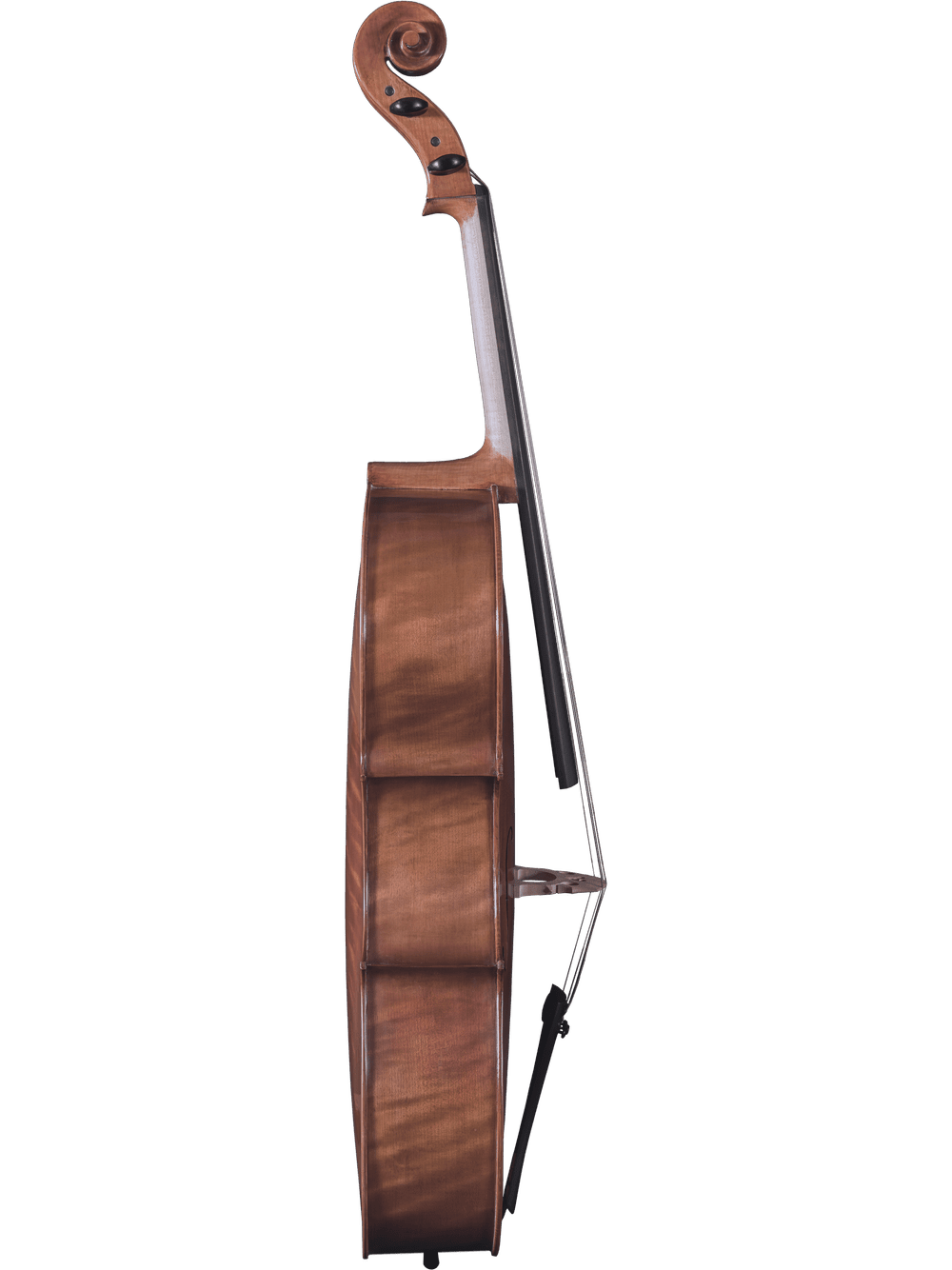 Side view of a hand-carved Canzona Caprice 300 Cello Outfit against a white background, showcasing the elegant curved body, neck, scroll, and endpin with partially visible strings and bridge.