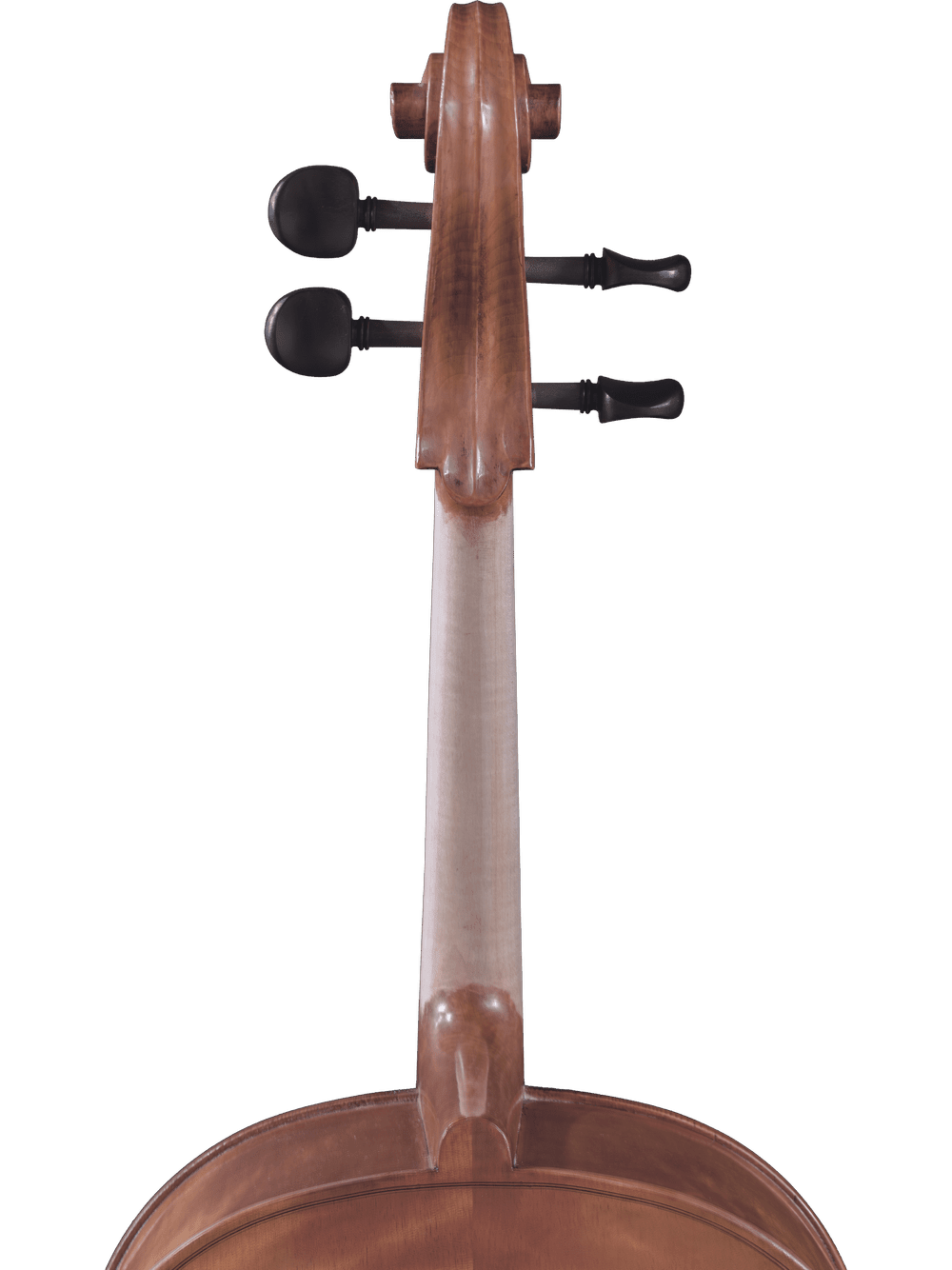 Close-up of the scroll, tuning pegs, and upper neck of a Canzona Caprice 300 Cello Outfit, set against a plain white background.