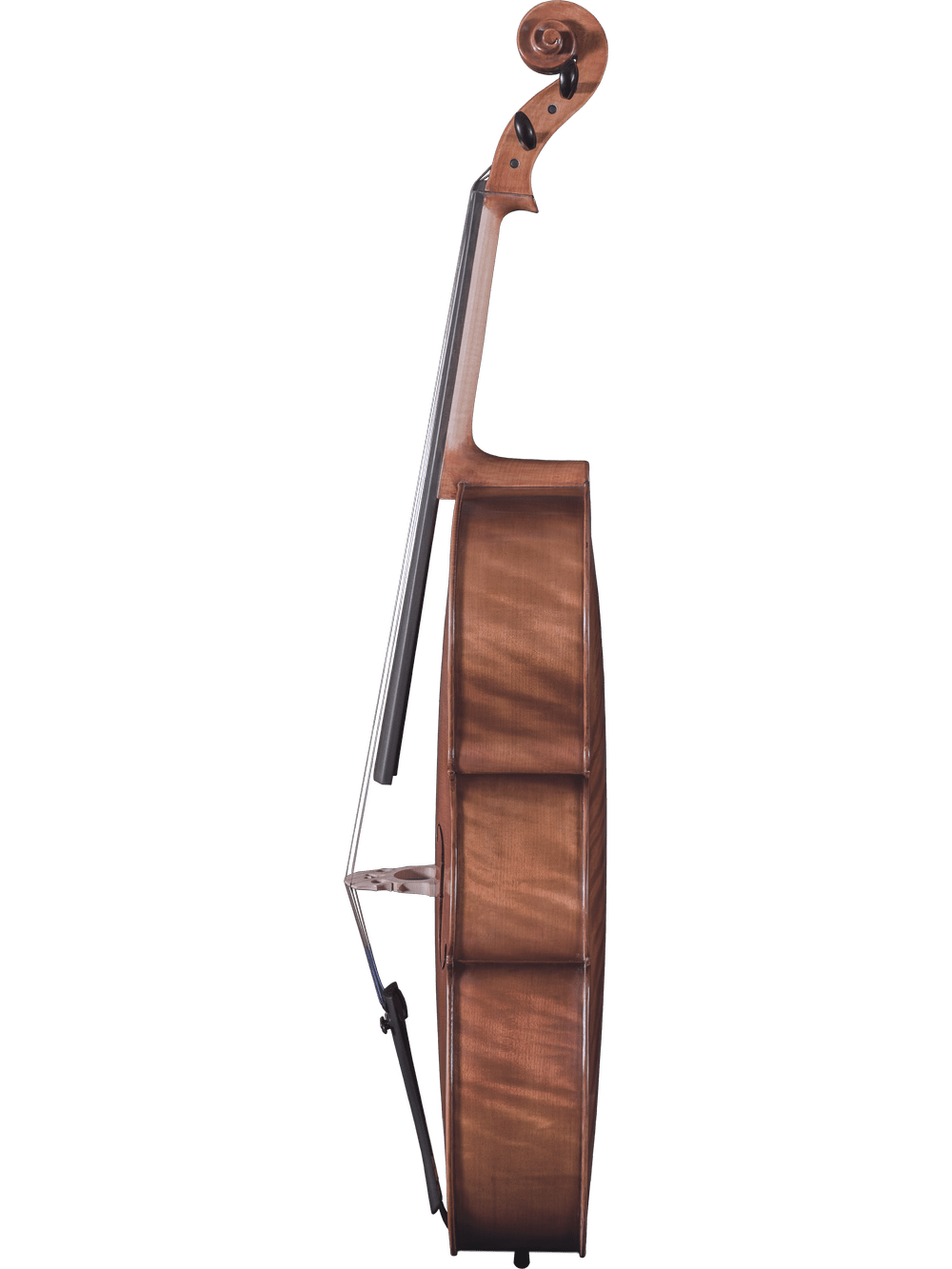 Side view of the Canzona Caprice 300 Cello Outfit standing upright, highlighting its curved body, neck, scroll, strings, and endpin against a plain white background.