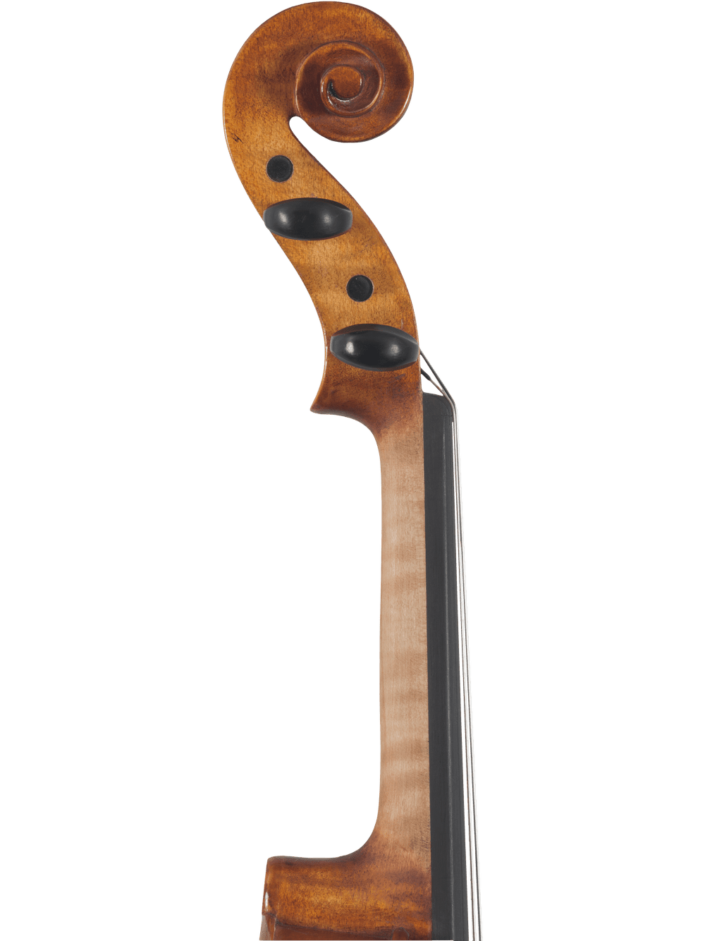 Close-up of the hand-carved scroll and pegbox, highlighting the wooden spiral and two black pegs of the Canzona Caprice 300 Series Intermediate Viola Outfit – Hand Carved Spruce & Maple against a white background.