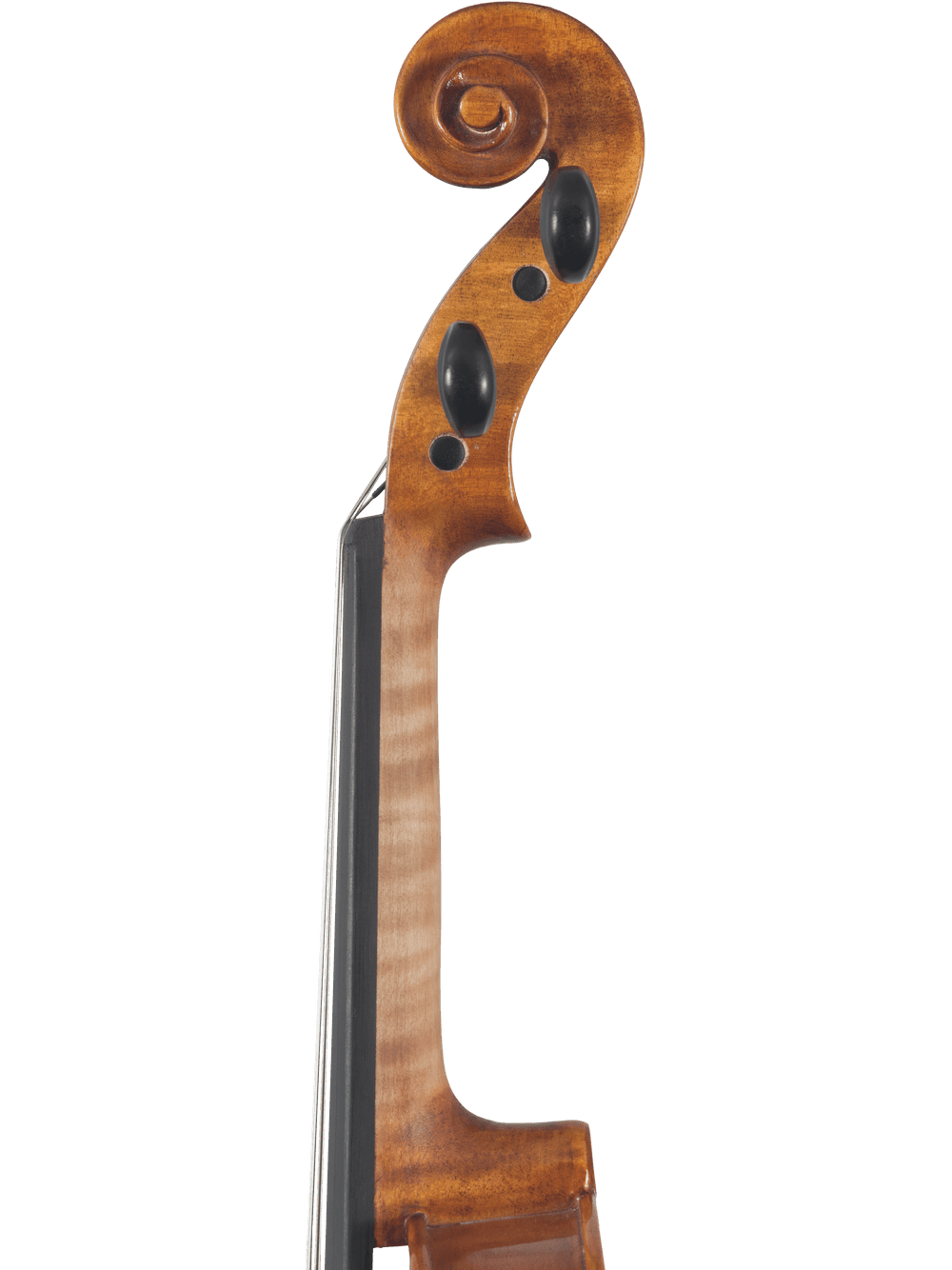 Close-up of a Canzona Caprice 300 Series Intermediate Viola Outfit’s scroll and upper neck, highlighting the hand-carved spruce and maple, smooth wood grain, tuning pegs, and fine details—ideal for advancing students. White background.