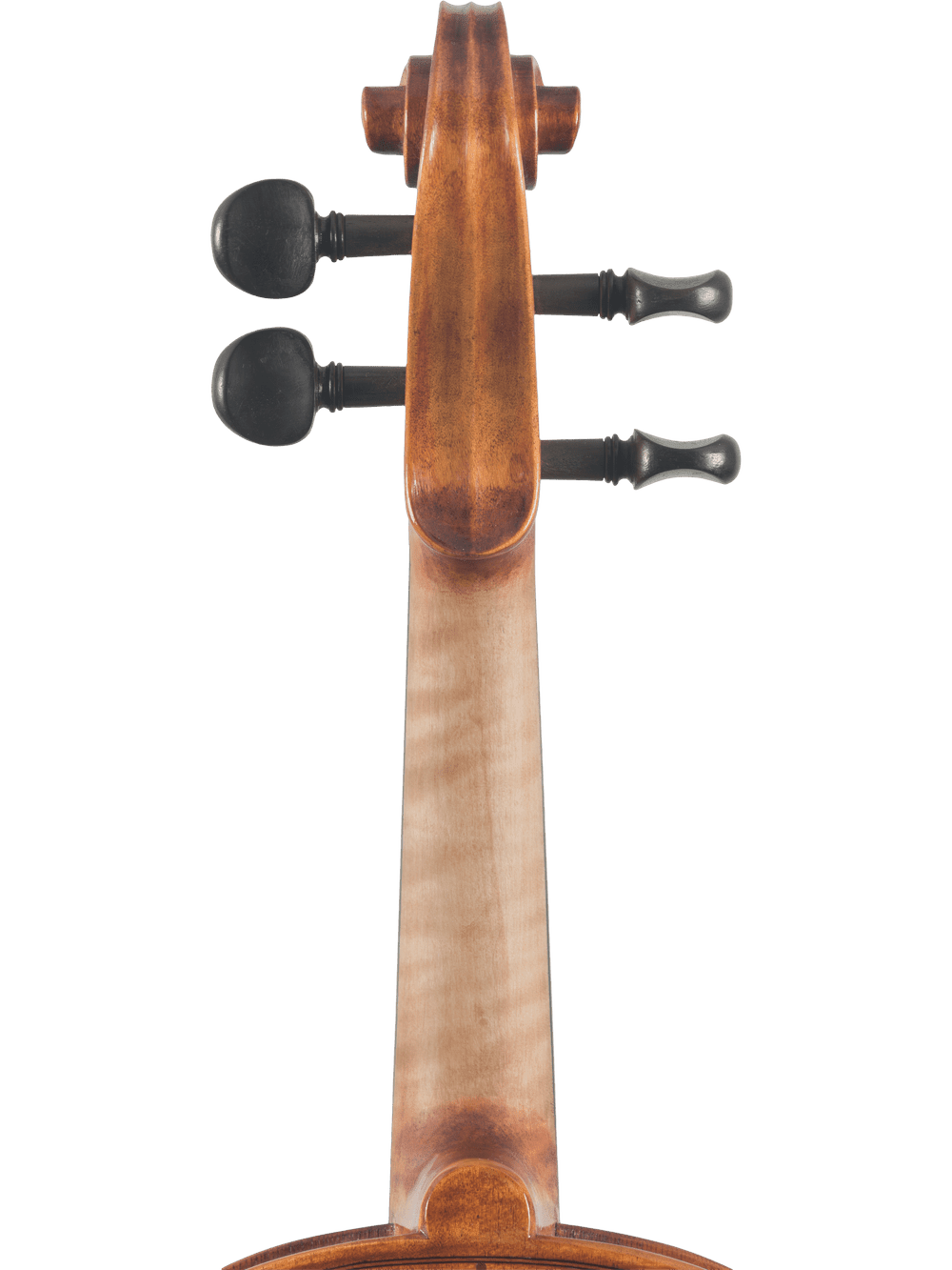 Close-up of the Canzona Caprice 300 Series Intermediate Viola Outfit—hand-carved spruce and maple—showing the scroll, pegbox with two black pegs, wooden neck, and part of the body against a white background; perfect for advancing students.