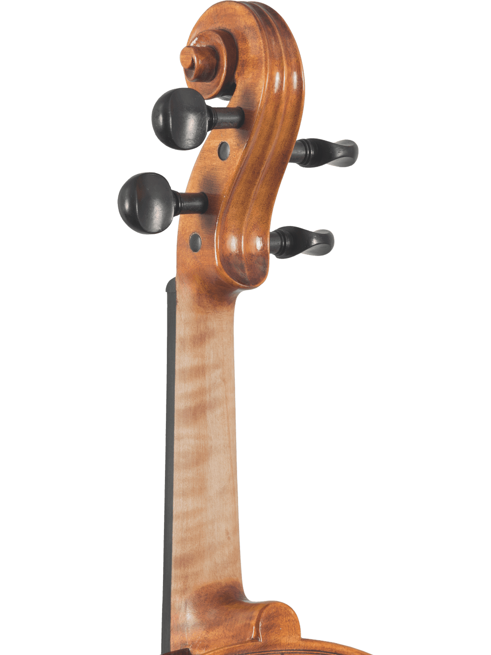 Close-up view of the scroll and tuning pegs on the Canzona Caprice 300 Series Intermediate Viola Outfit, hand carved from spruce and maple, perfect for advancing students, shown against a plain white background.