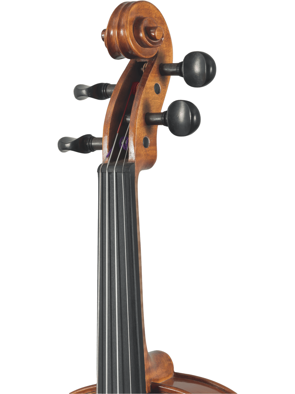 Close-up of the scroll, pegbox, and fingerboard of the hand-carved Canzona Caprice 300 Series Intermediate Viola Outfit in spruce and maple, highlighting tuning pegs and part of the advancing student viola’s neck against a white background.