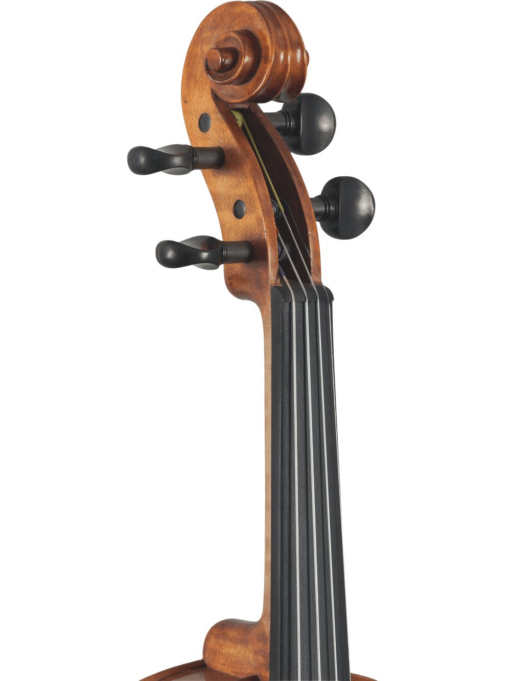 Close-up of a hand-carved viola scroll with tuning pegs and fingerboard top, set against a white background—ideal for the advancing player using the Canzona Caprice 300 Series Intermediate Viola Outfit made from spruce and maple.