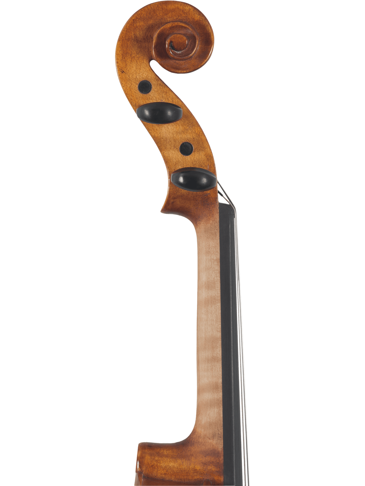Canzona Caprice 300 Series Violin Outfit – Hand Carved Spruce Maple