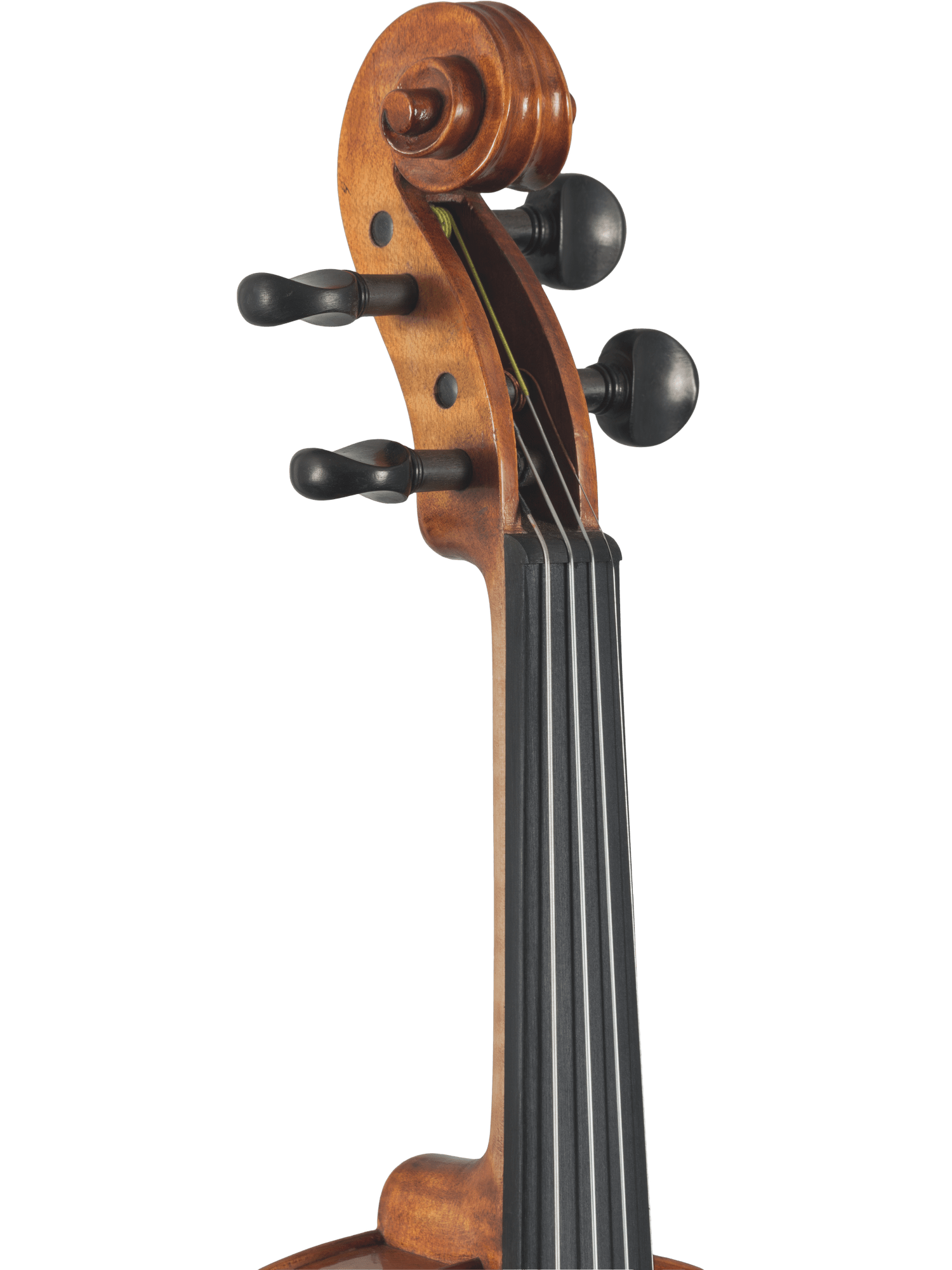 Close-up of the scroll, pegs, and upper fingerboard of the Canzona Caprice 300 Series Violin Outfit – Hand Carved Spruce Maple, highlighting fine craftsmanship and smooth finish on a white background—ideal for student players.