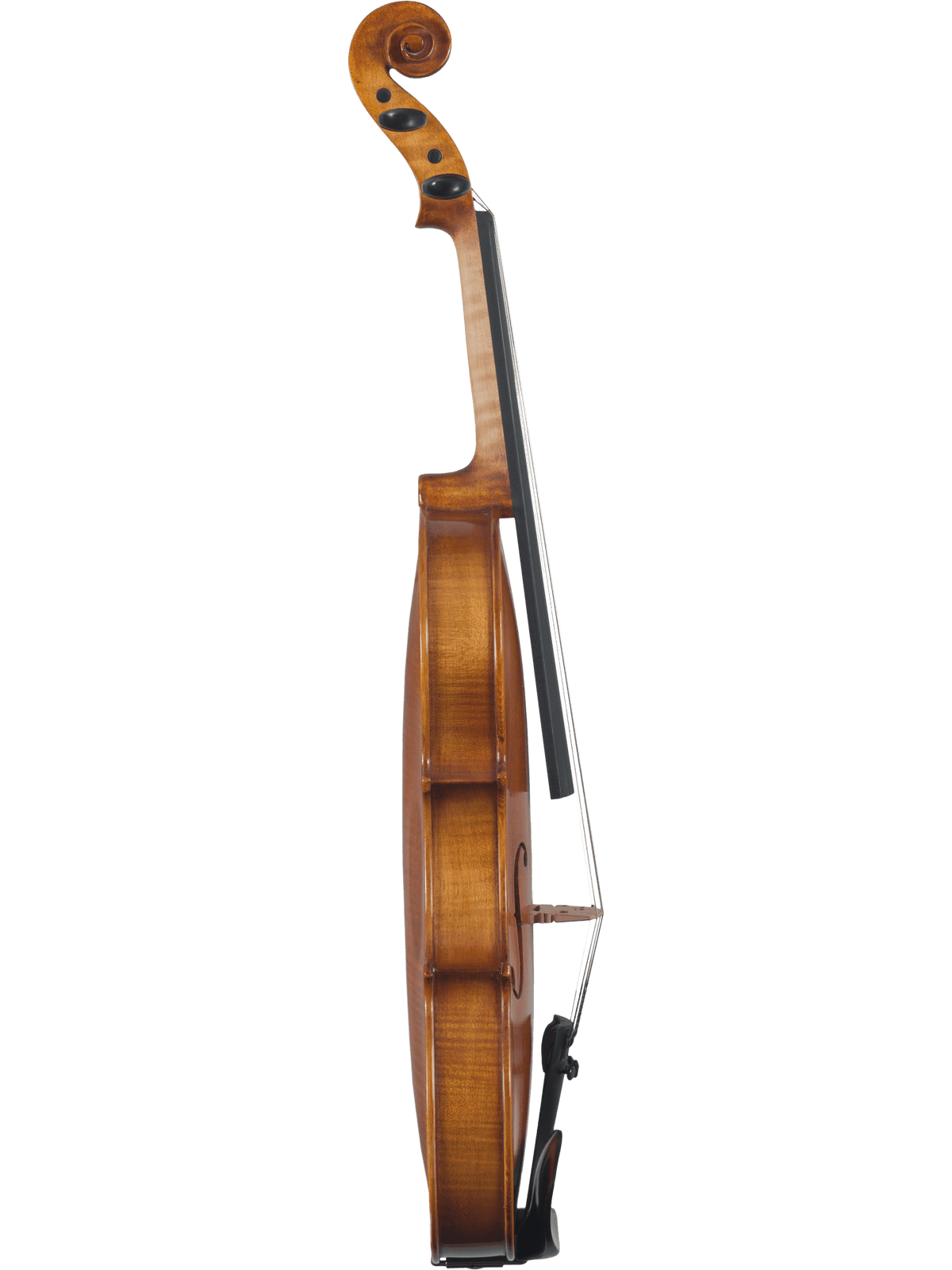 Canzona Caprice 300 Series Violin Outfit – Hand Carved Spruce Maple