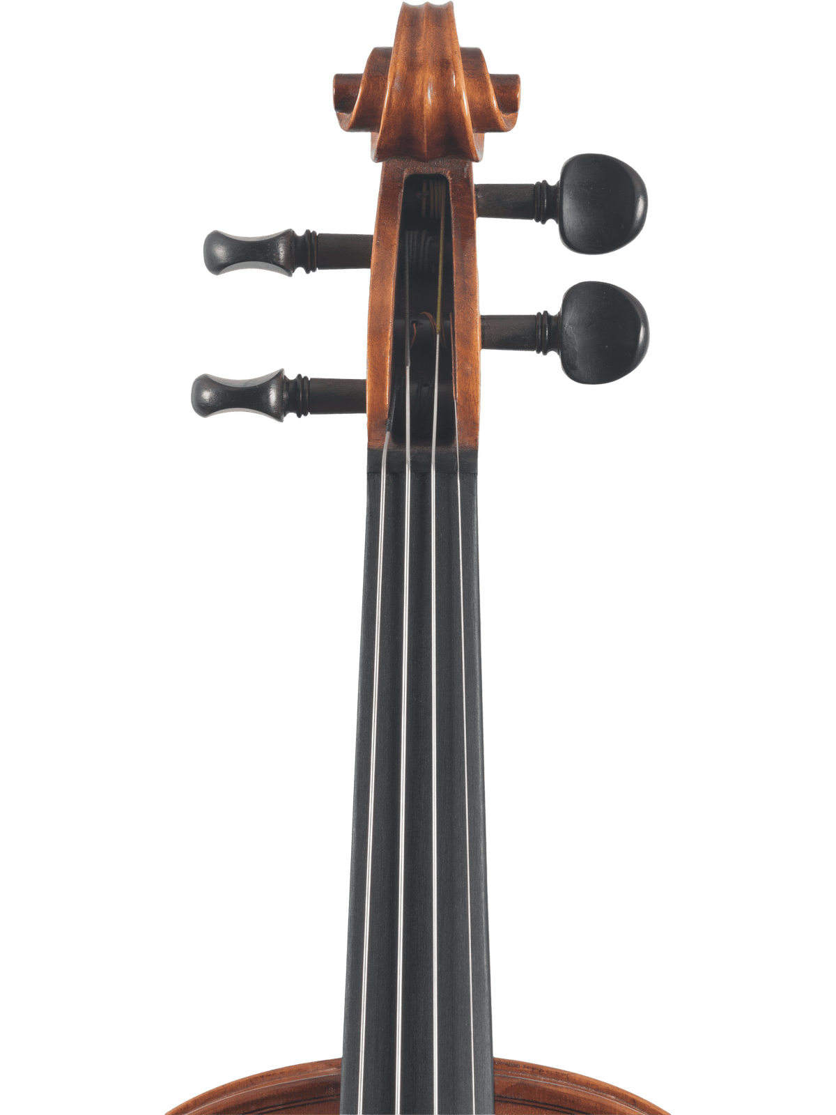 Canzona Caprice 300 Series Violin Outfit – Hand Carved Spruce Maple