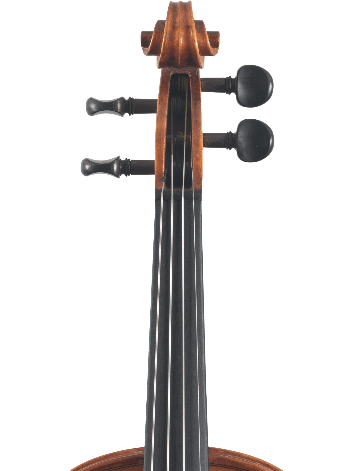 Close-up of the Canzona Caprice 300 Series Violin Outfit – Hand Carved Spruce Maple, showing tuning pegs, scroll, and fingerboard on a white background—perfect for students seeking quality.