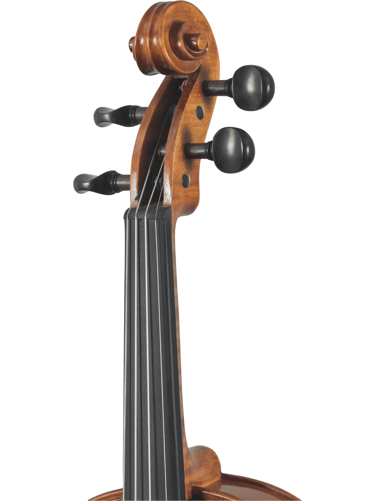 Canzona Caprice 300 Series Violin Outfit – Hand Carved Spruce Maple