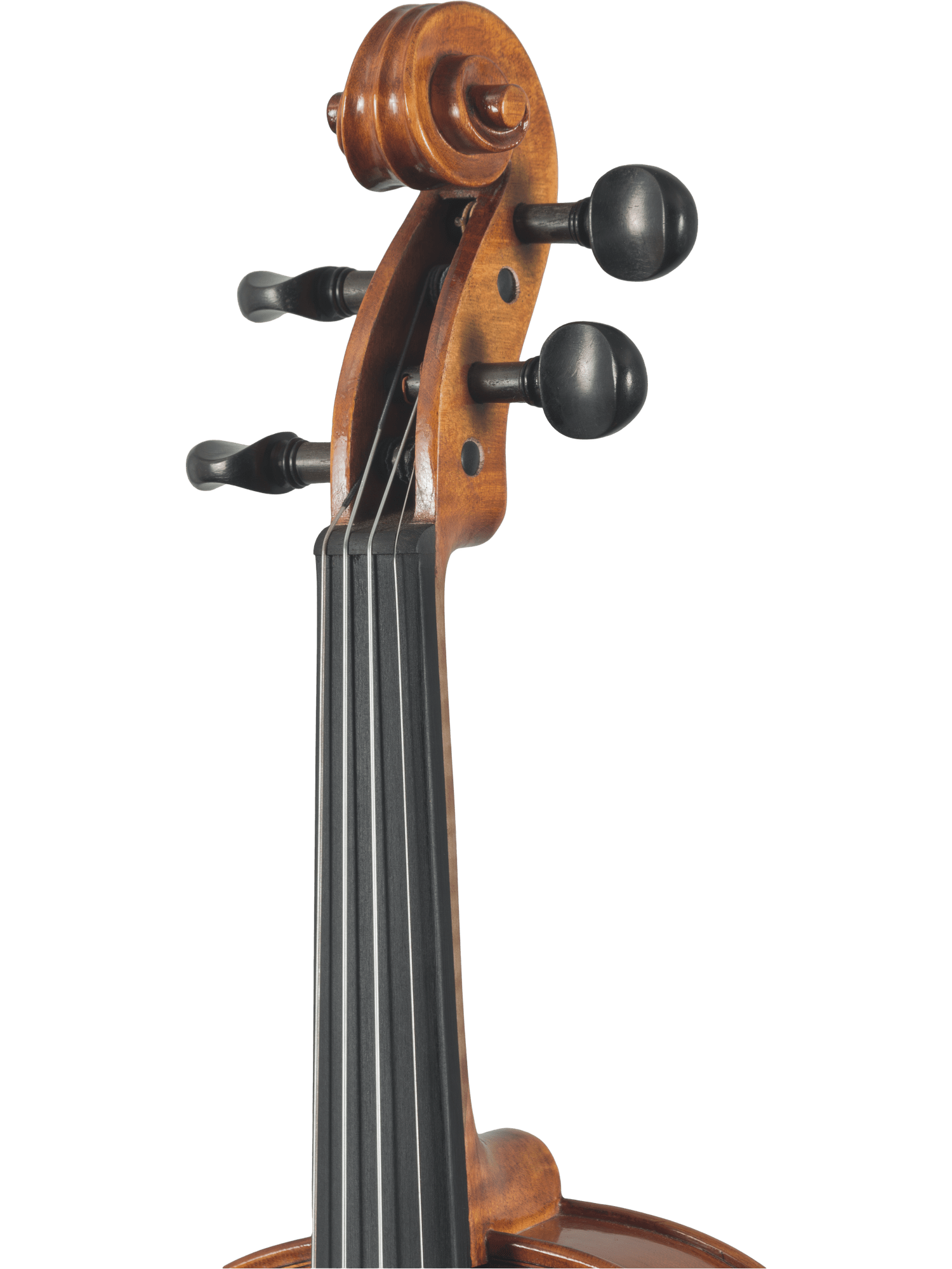Close-up of the Canzona Caprice 300 Series Violin Outfit – Hand Carved Spruce Maple, highlighting the scroll, tuning pegs, upper fingerboard, and part of the body against a plain white background.