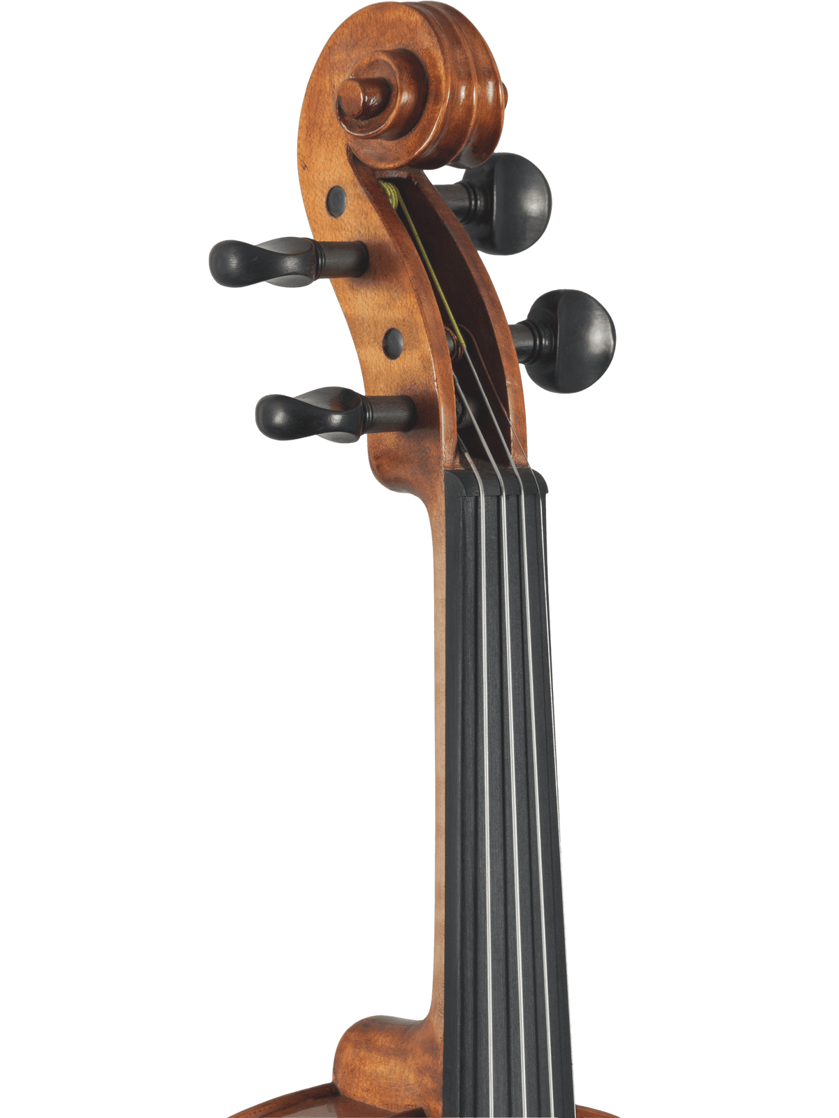 Canzona Caprice 300 Series Violin Outfit – Hand Carved Spruce Maple