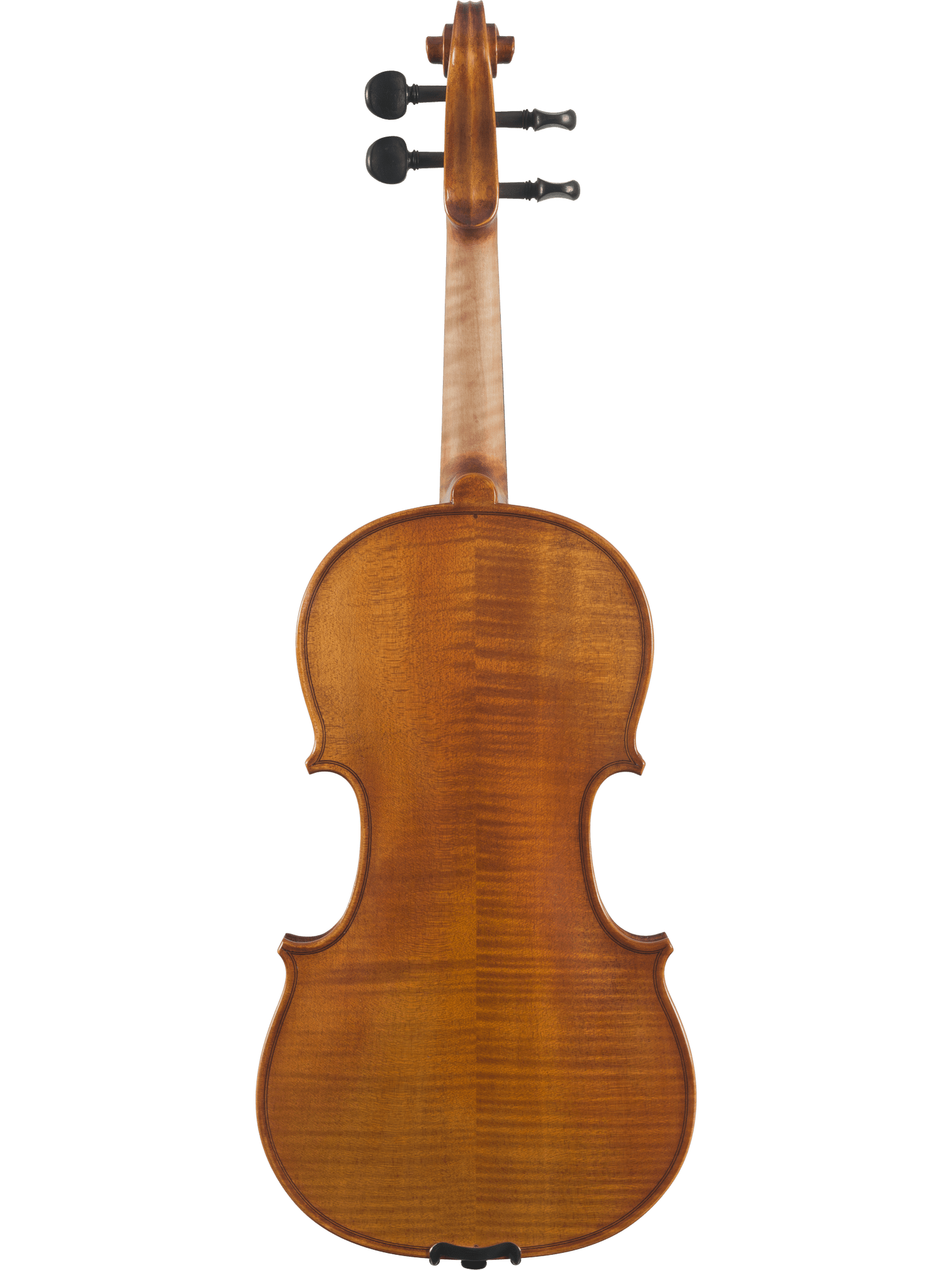 The Canzona Caprice 300 Series Violin Outfit—Hand Carved Spruce Maple—is shown from the back, displaying its polished brown finish, visible wood grain, curves, and tuning pegs against a white background; ideal for students.