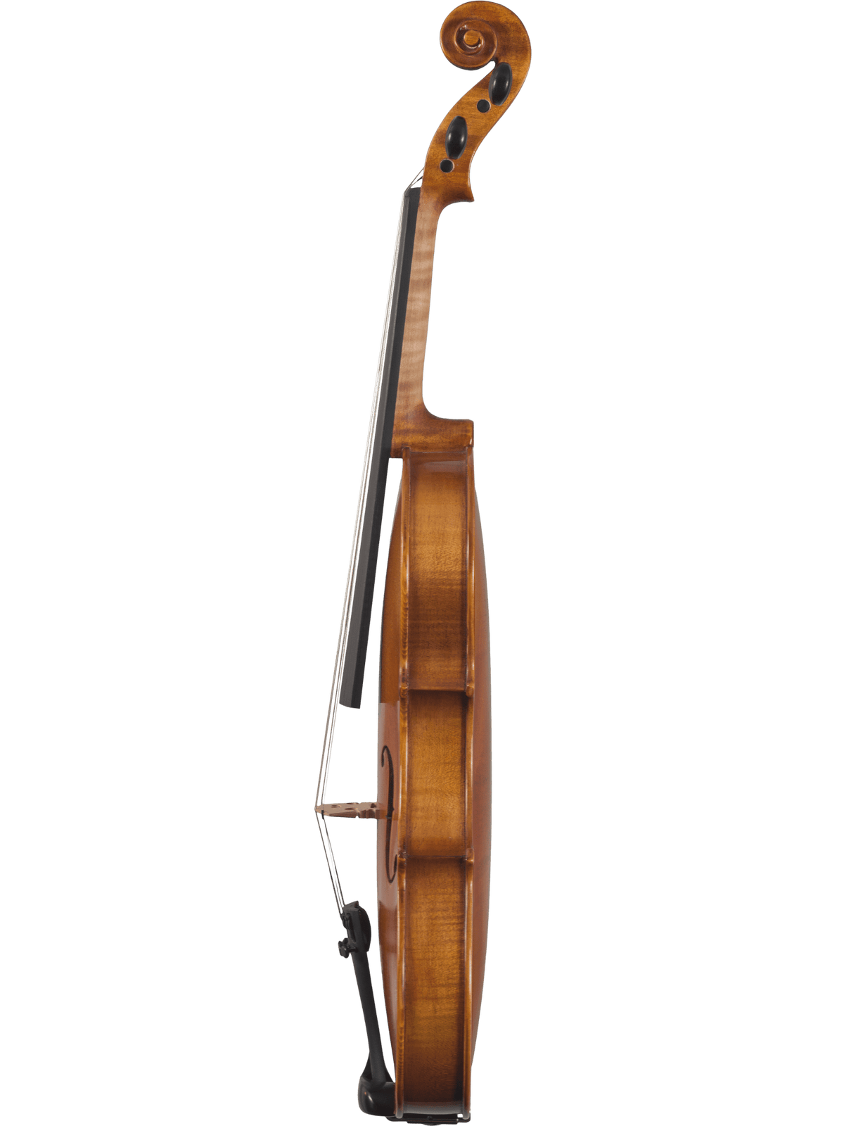 Canzona Caprice 300 Series Violin Outfit – Hand Carved Spruce Maple
