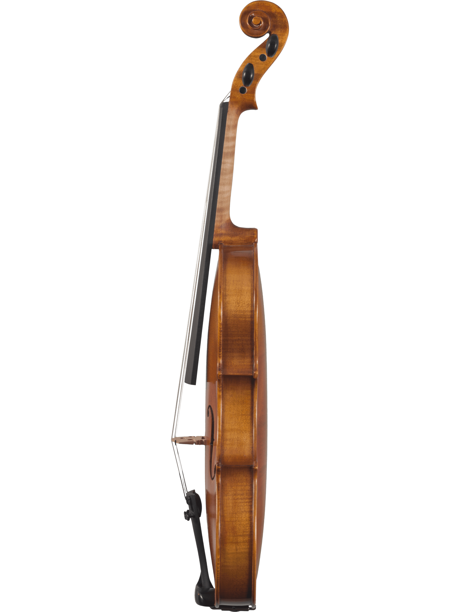 A side view of the Canzona Caprice 300 Series Violin Outfit – Hand Carved Spruce Maple stands upright, displaying its curved body, neck, scroll, strings, and chin rest against a plain white background.