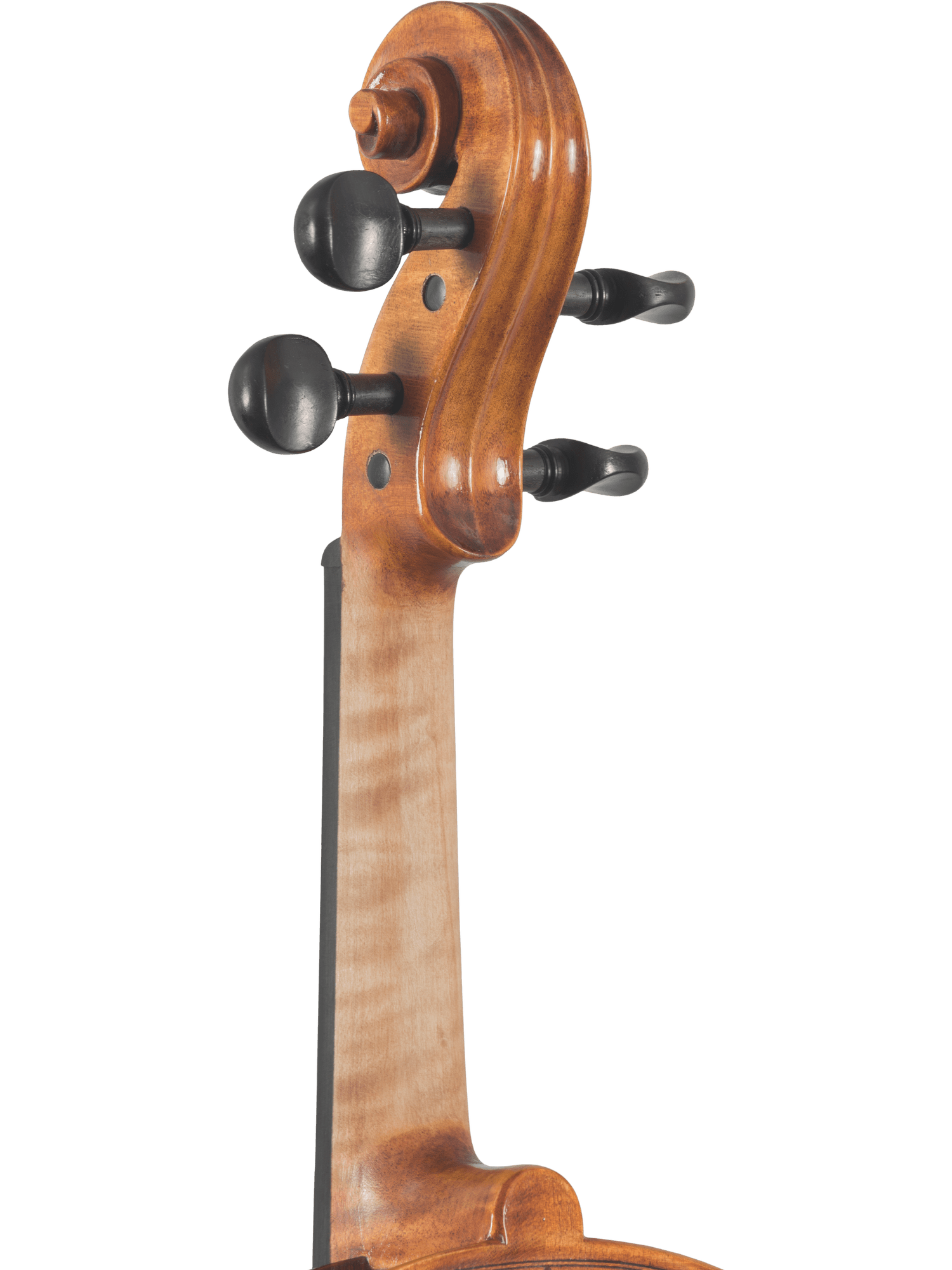 Close-up of the Canzona Caprice 300 Series Violin Outfit's hand-carved spruce maple scroll and black pegs, showcasing its craftsmanship against a white background.