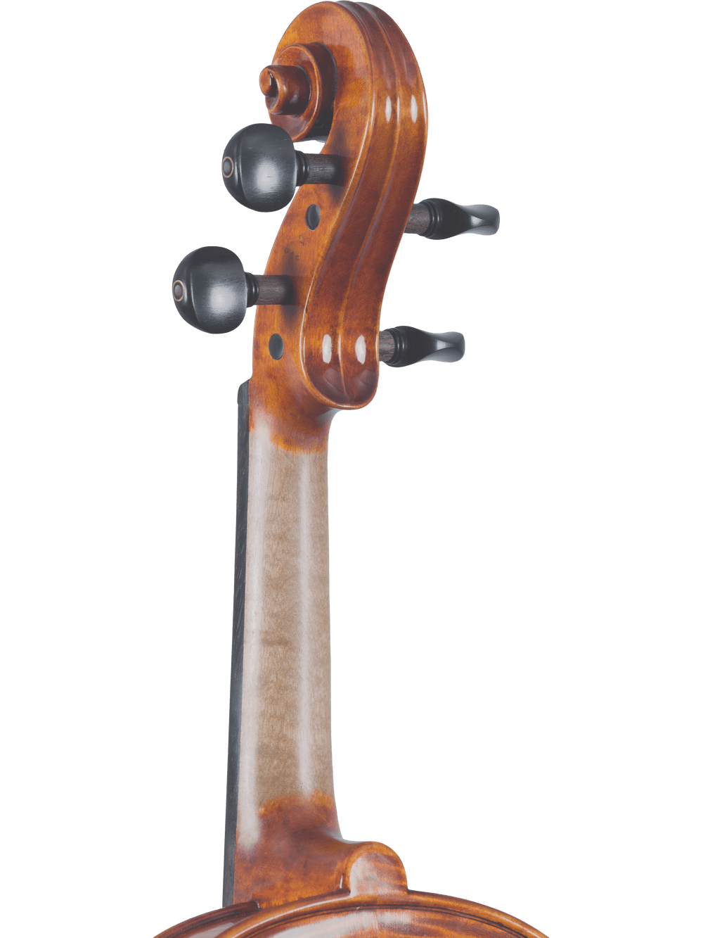 Close-up of the Canzona Francesco Veracini 530 Artist Series Violin – AAA Spruce & Flamed Maple scroll, showing tuning pegs and upper neck against a light gray background. The polished brown finish highlights its fine craftsmanship.