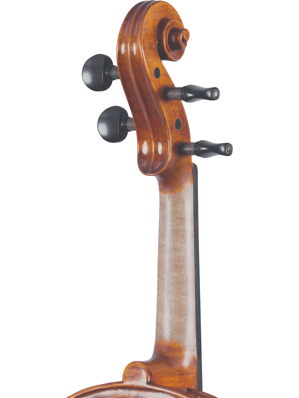 Close-up of the scroll and tuning pegs of the Canzona Francesco Veracini 530 Artist Series Violin – AAA Spruce & Flamed Maple, set against a white background—ideal for advanced performers seeking inspiration.