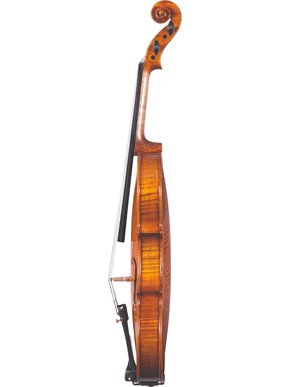 The Canzona Francesco Veracini 530 Artist Series Violin – AAA Spruce & Flamed Maple is shown from the side against a white background, highlighting its scroll, fingerboard, curved body, and fine wood grain.