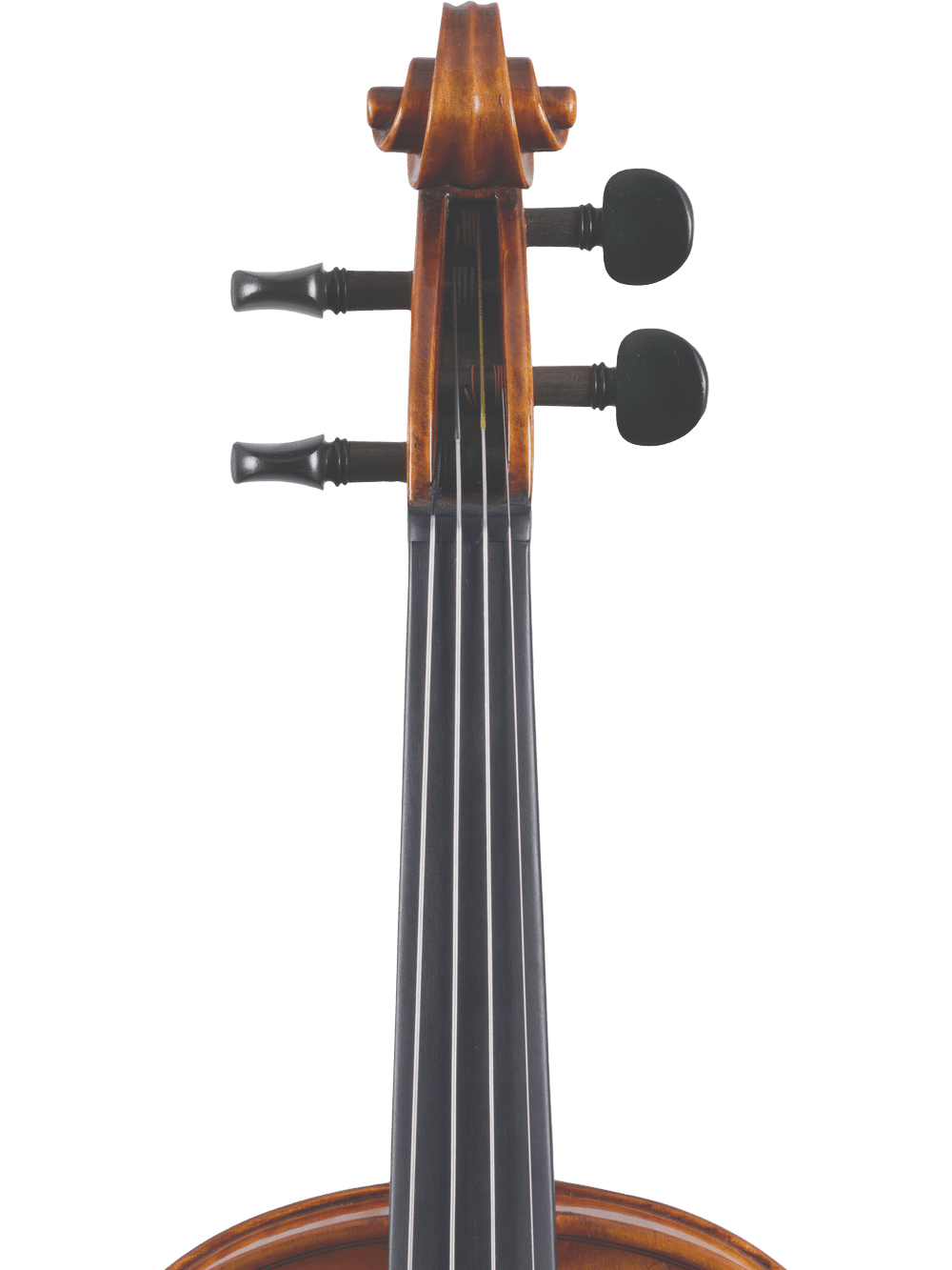 Close-up of the upper neck, fingerboard, and tuning pegs of the Canzona Francesco Veracini 530 Artist Series Violin – AAA Spruce & Flamed Maple, shown against a plain white background.