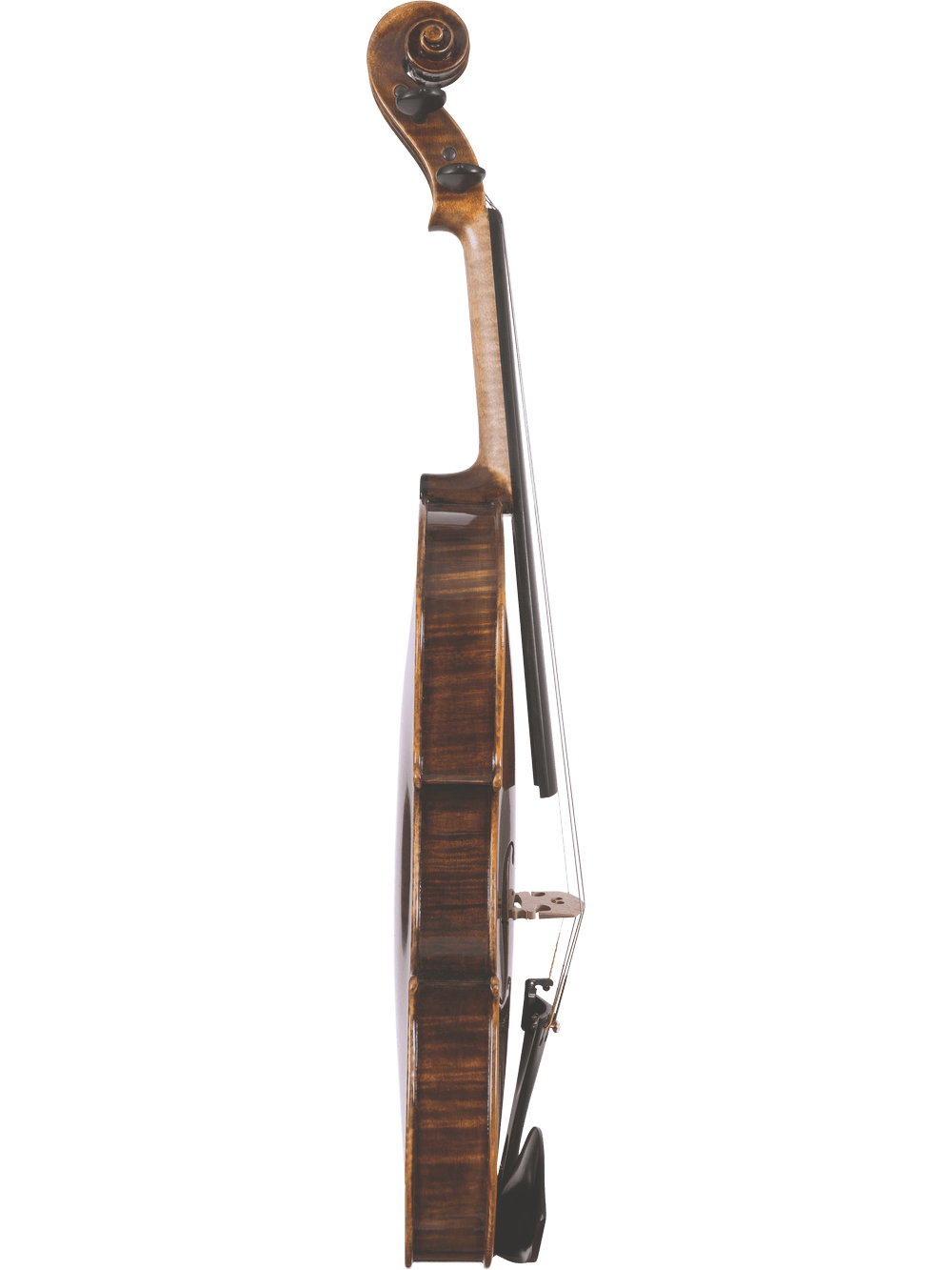 Side view of a hand-carved Canzona Lombardy Violin Outfit standing upright against a plain white background, highlighting its elegant curved shape, strings, and detailed craftsmanship.