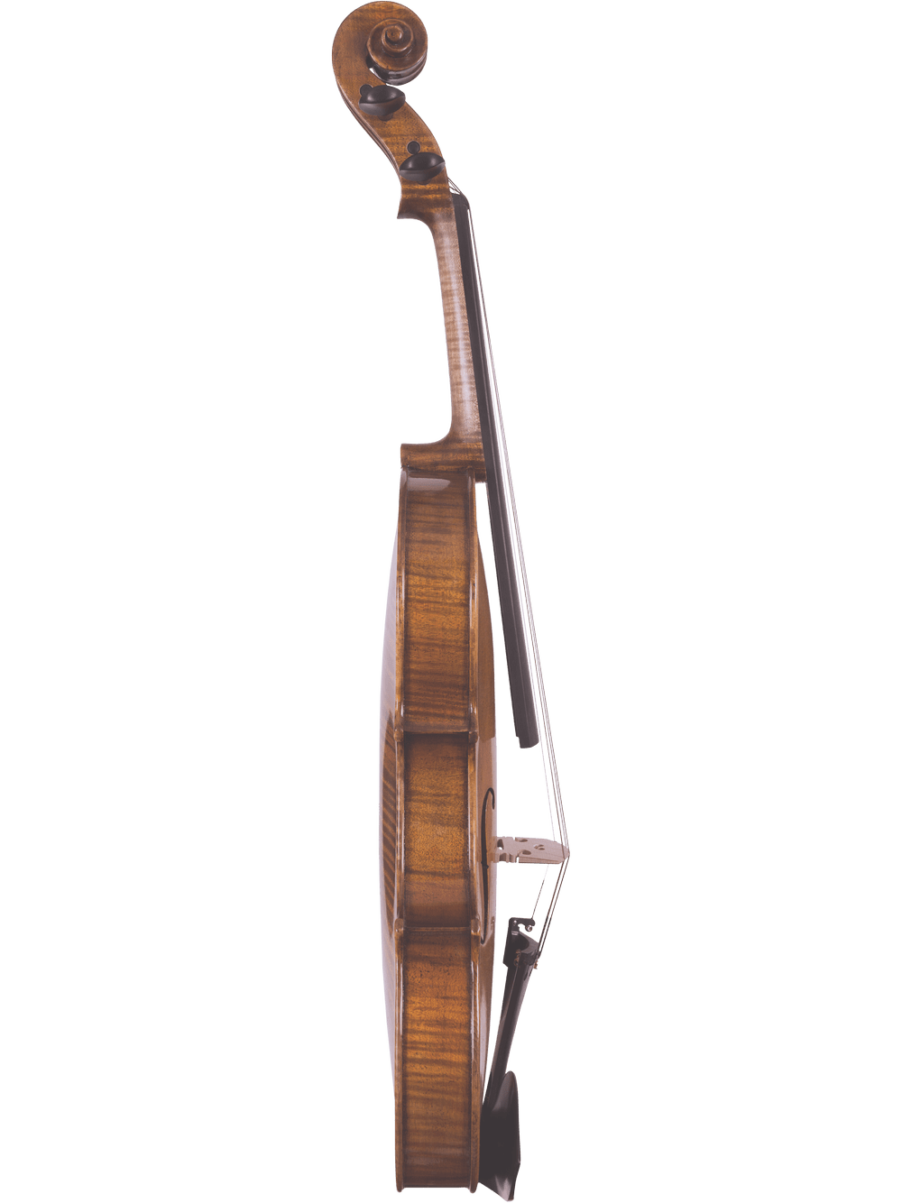 A side view of the Canzona Lorenzo Intermediate Violin Outfit, featuring a hand-carved body, chin rest, and detailed scroll, displayed against a plain white background.