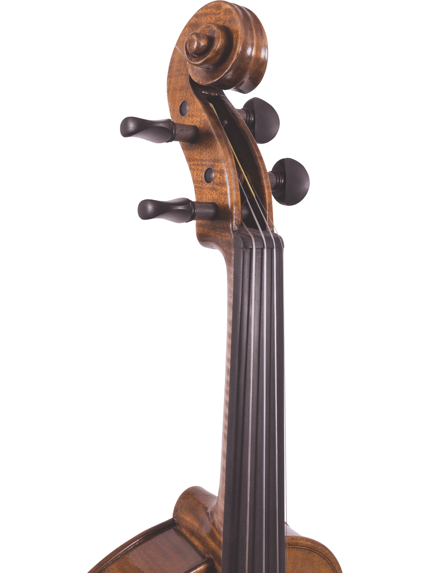 Close-up of the scroll, tuning pegs, and upper fingerboard of the Canzona Lorenzo Intermediate Violin Outfit against a plain white background, highlighting its hand-carved details and premium quality.