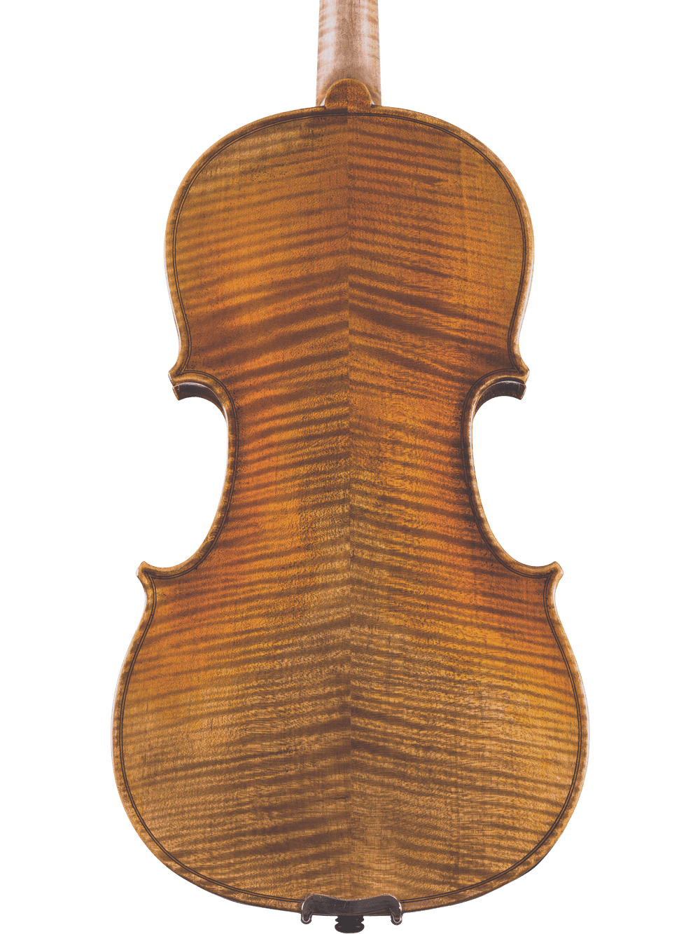 The back view of the Canzona Lorenzo Intermediate Violin Outfit displays a rich, striped grain with warm brown and golden tones—ideal for the discerning intermediate player, photographed against a white background.