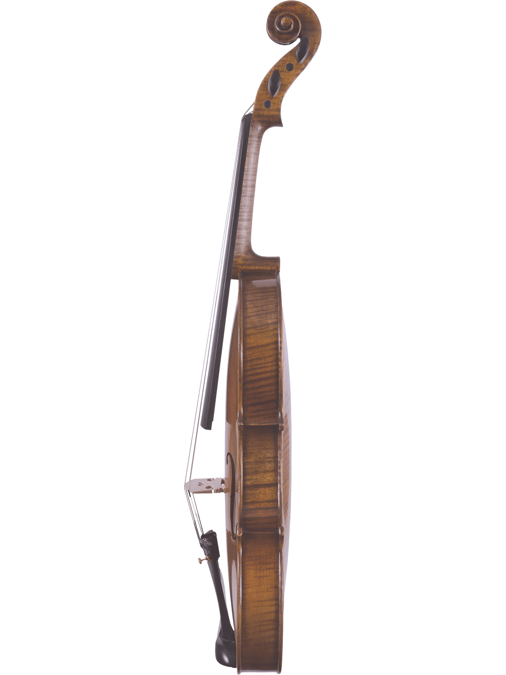 Side view of the Canzona Lorenzo Intermediate Violin Outfit standing upright against a white background, showcasing its hand-carved curved body, scroll, and partially visible chinrest and bow.