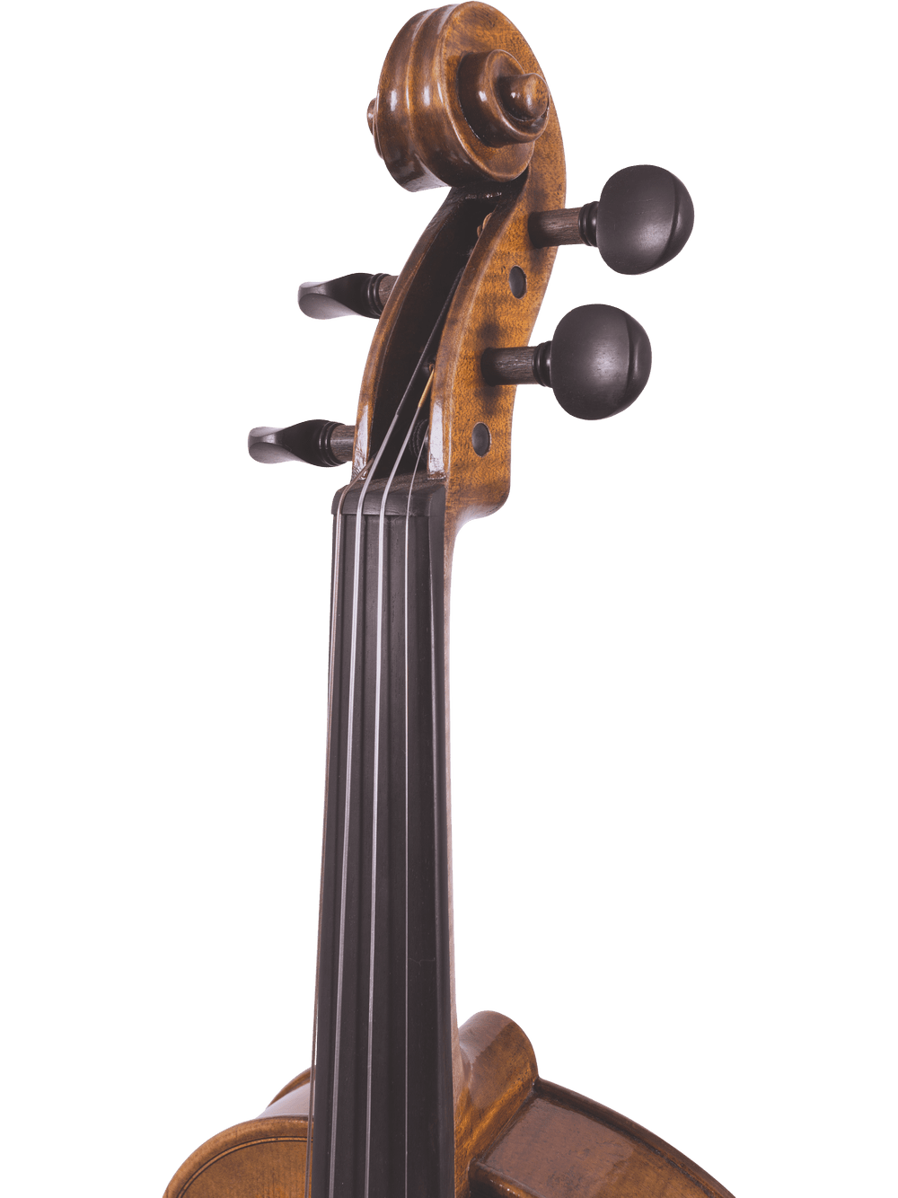 Close-up of the Canzona Lorenzo Intermediate Violin Outfit’s hand-carved scroll, tuning pegs, and fingerboard against a white background—ideal for advancing student violinists.