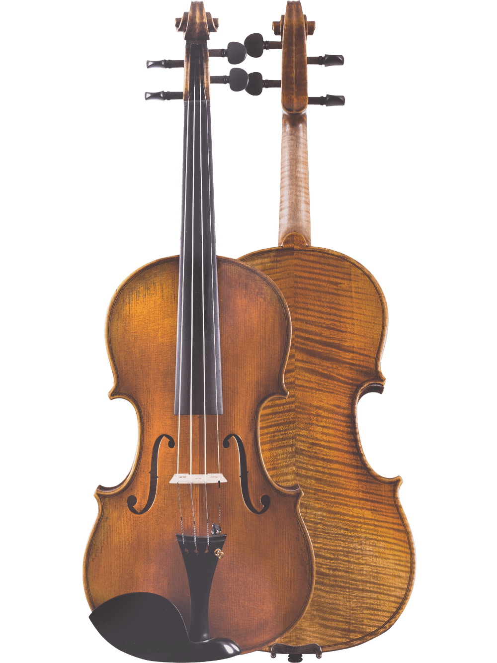 Two Canzona Lorenzo Intermediate Violins are shown: one displays its strings and bridge, the other its finely-grained back. Both have a warm brown finish, highlighting their premium craftsmanship against a white background.