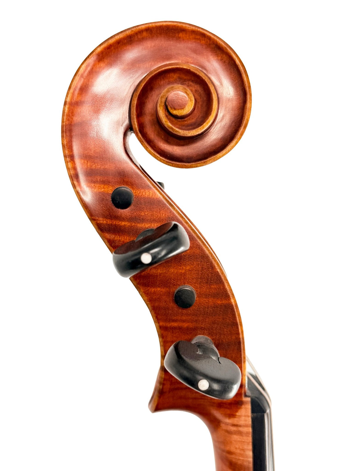 Canzona Maestro-Level Viola – New Old Stock, Romanian Made | Flamed Maple & Bear Claw Spruce