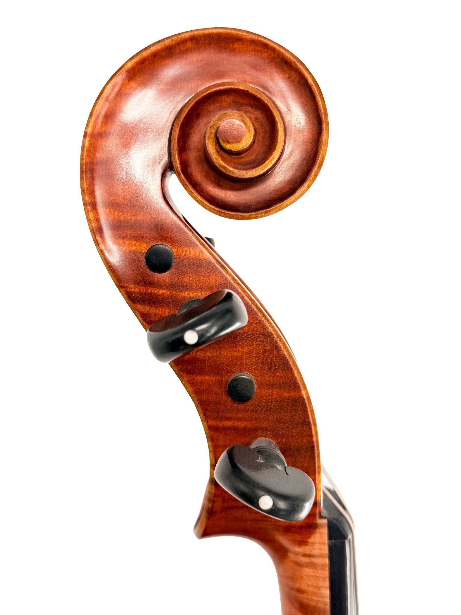 Close-up of the Canzona Maestro-Level Viola – New Old Stock, Romanian Made, showcasing its flamed maple scroll and pegbox with bear claw spruce details and visible tuning pegs against a white background.