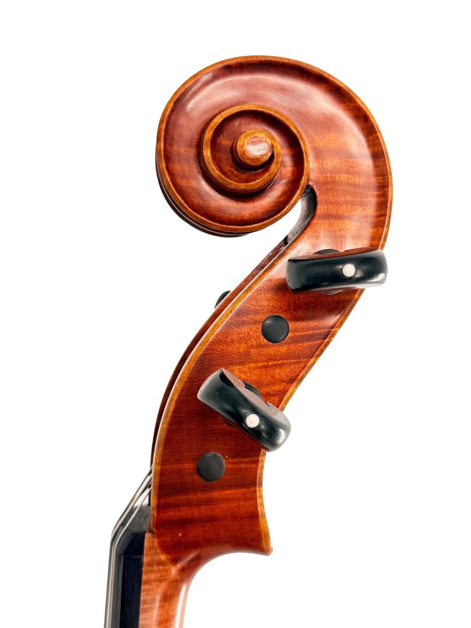 Close-up of the Canzona Maestro-Level Viola – New Old Stock, Romanian Made, with flamed maple and bear claw spruce. The polished reddish-brown scroll features a smooth spiral and elegant tuning pegs, set against a white background.