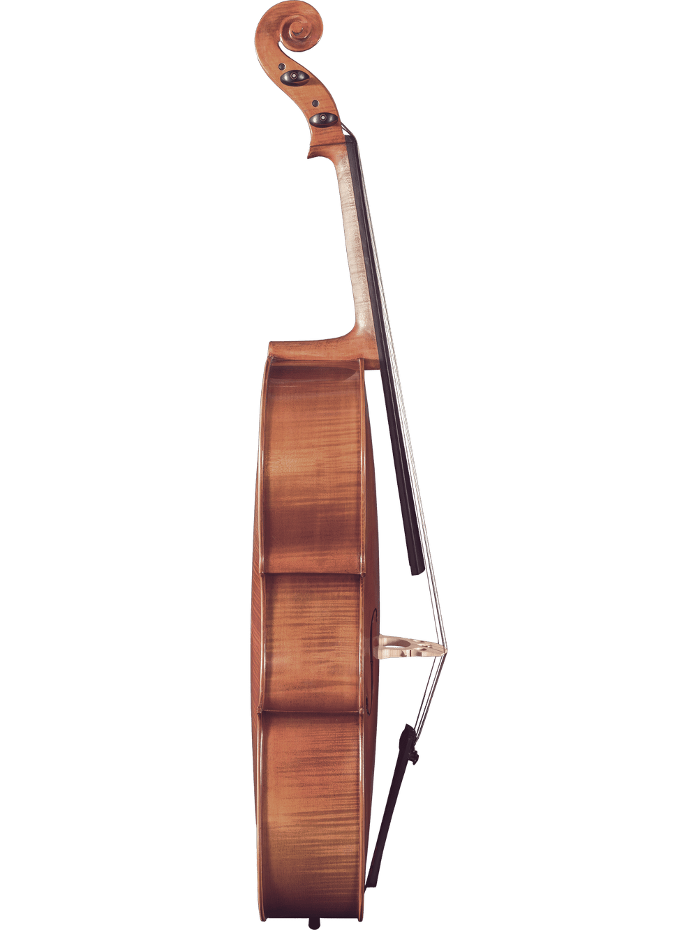 Side view of the Canzona Milano 400 Cello Outfit standing upright with its bow resting against the strings, highlighting the curved body and neck of the instrument on a plain white background.